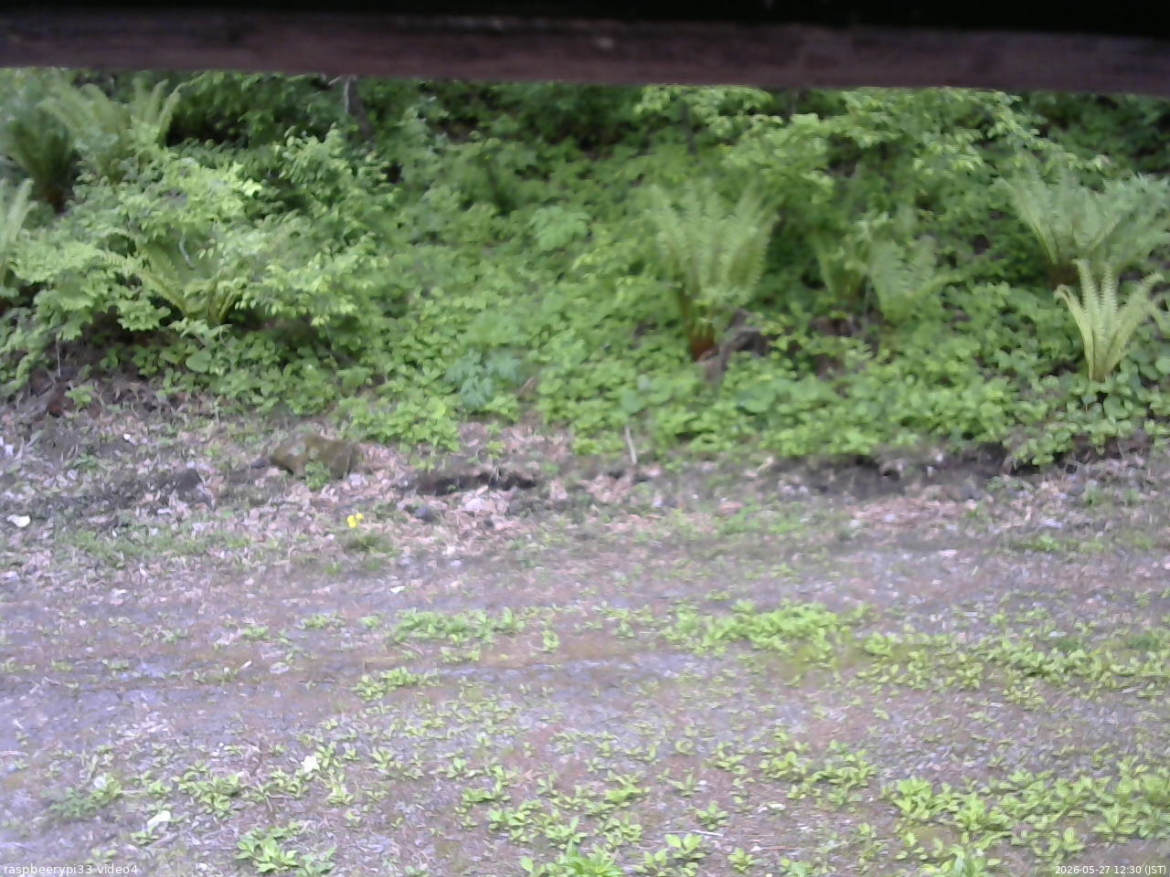 長野県菅平高原 ゆたか山荘 東側(坂下) 2026/05/27 12:30