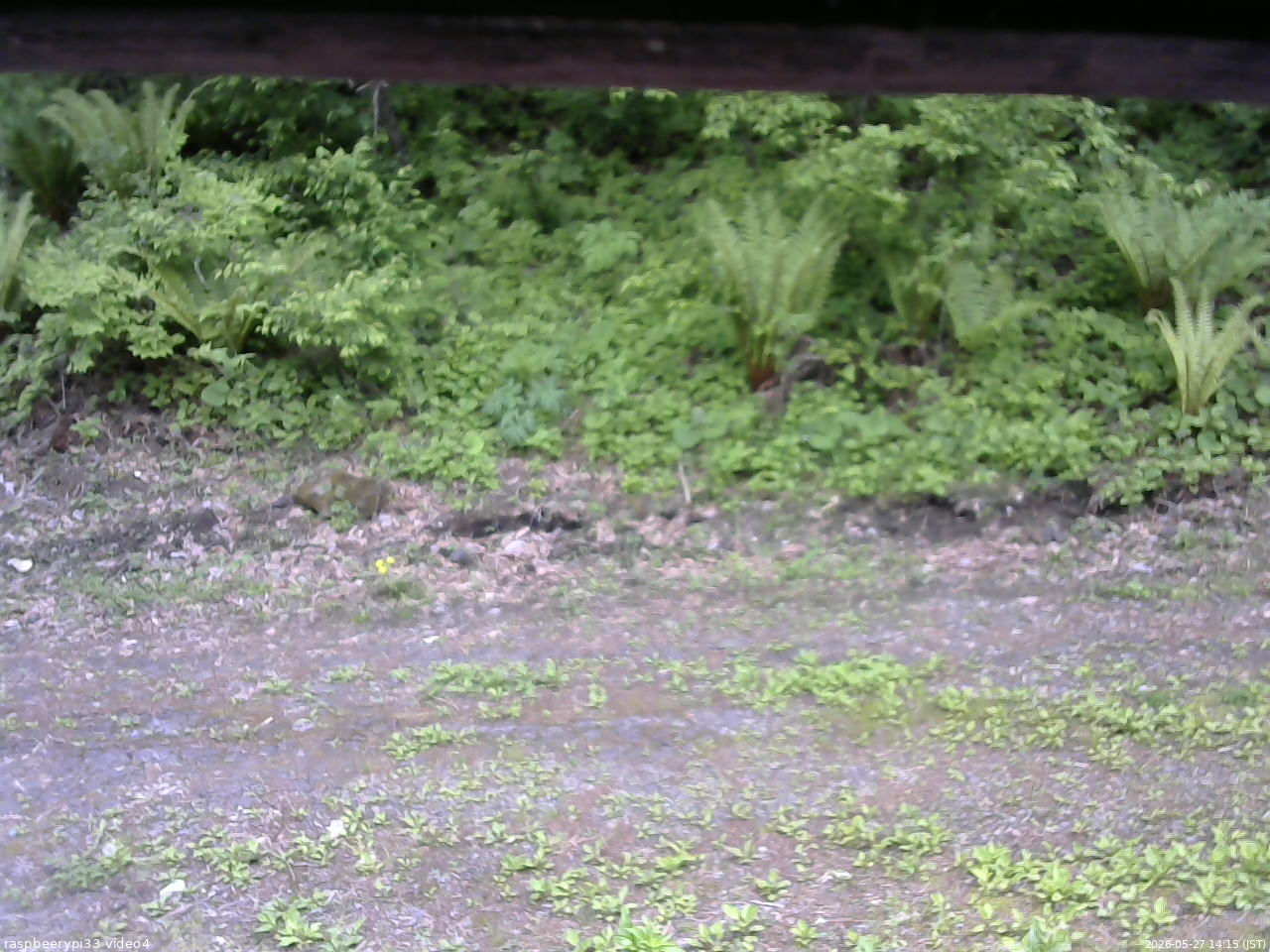 長野県菅平高原 ゆたか山荘 東側(坂下) 2026/05/27 14:15