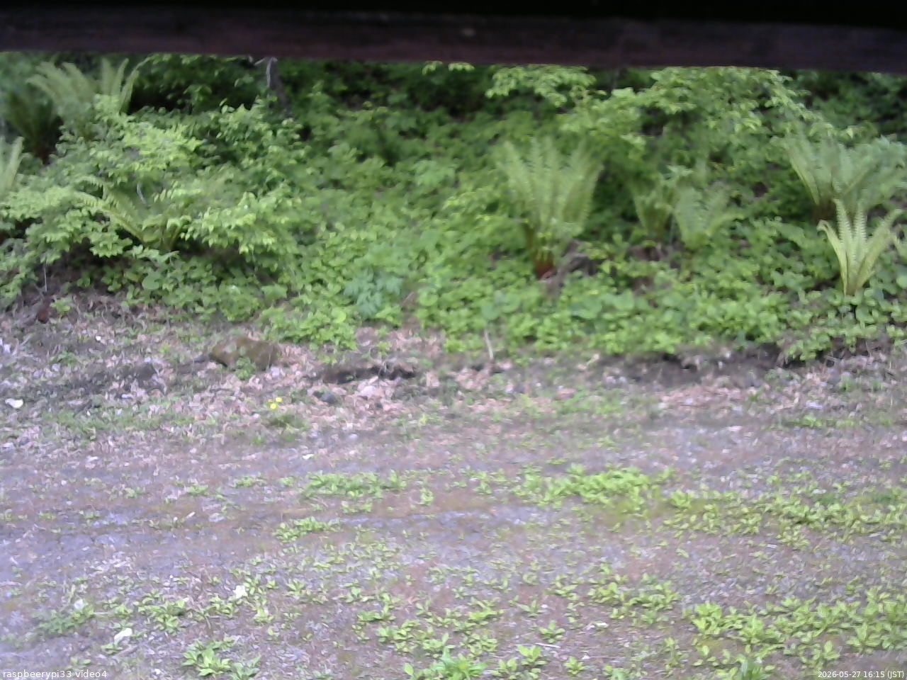 長野県菅平高原 ゆたか山荘 東側(坂下) 2026/05/27 16:15