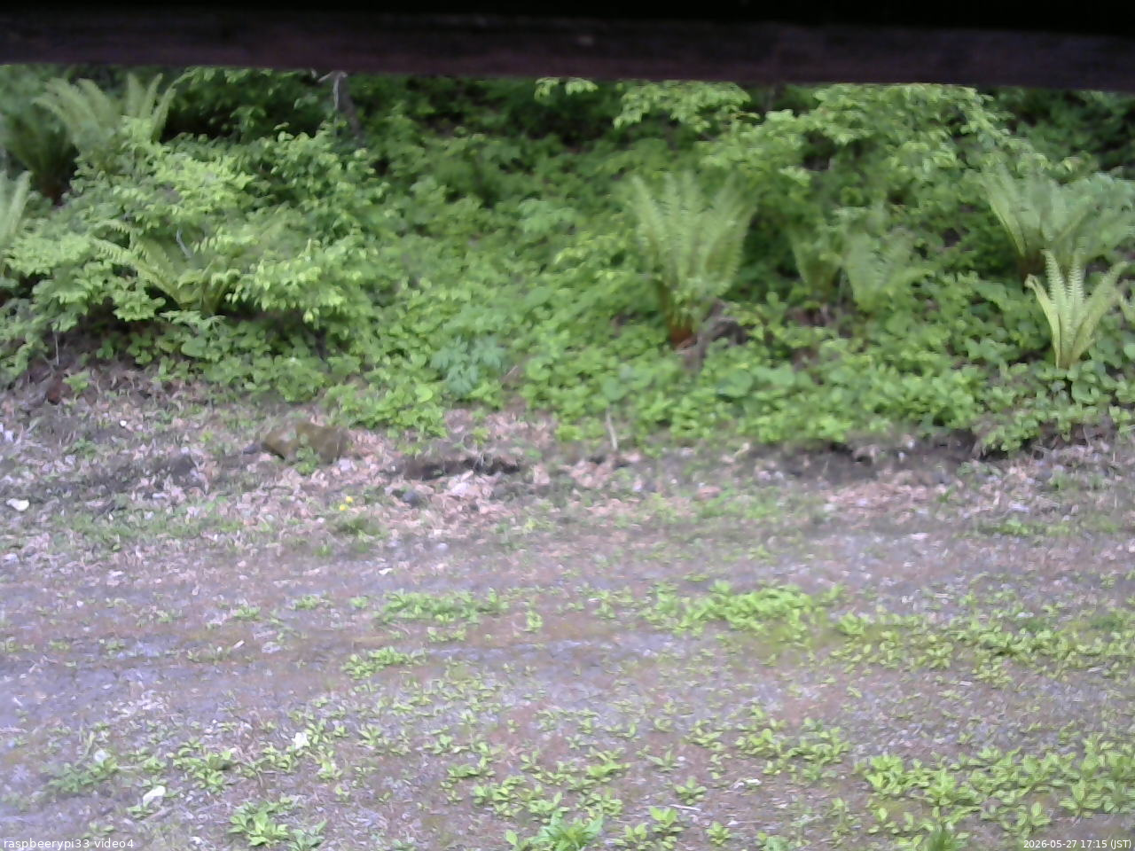 長野県菅平高原 ゆたか山荘 東側(坂下) 2026/05/27 17:15