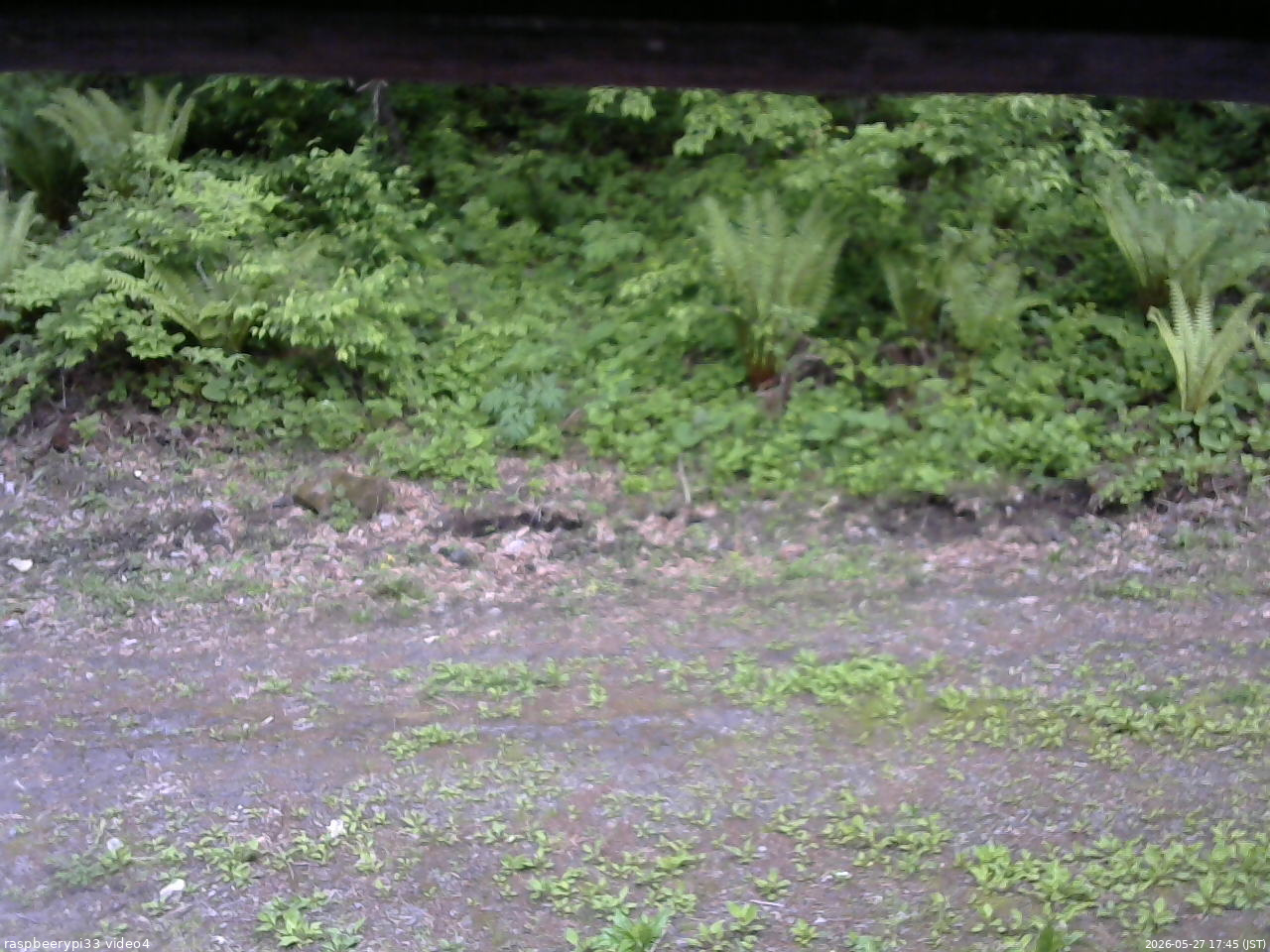 長野県菅平高原 ゆたか山荘 東側(坂下) 2026/05/27 17:45