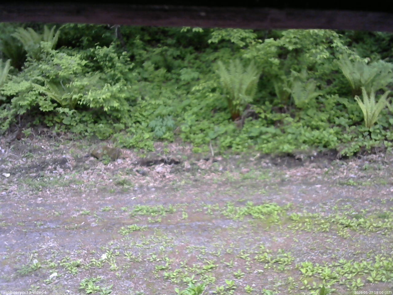 長野県菅平高原 ゆたか山荘 東側(坂下) 2026/05/27 18:00