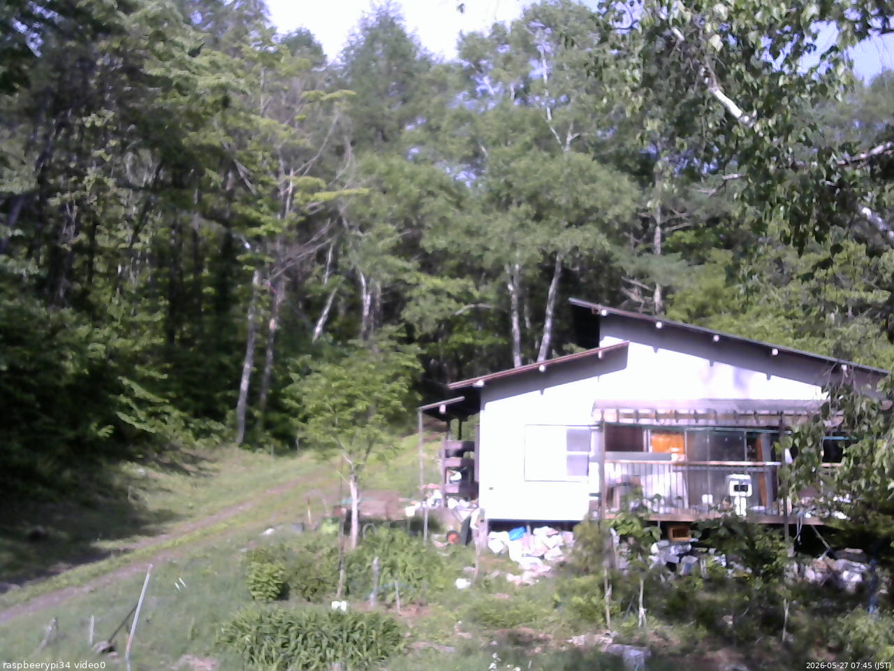 長野県菅平高原 ゆたか山荘 西側(坂上) 2026/05/27 07:45