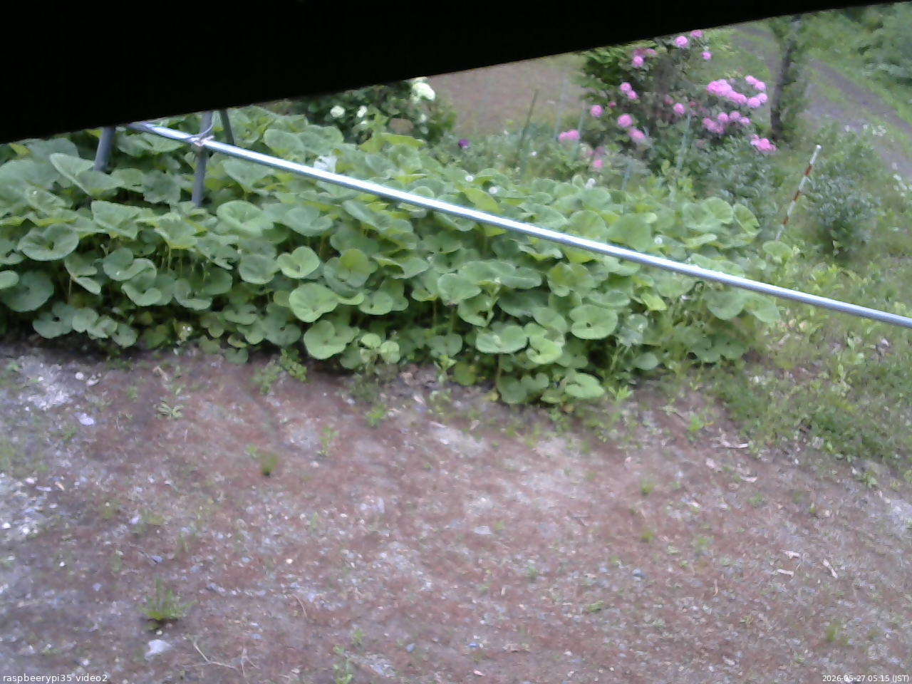長野県菅平高原 ゆたか山荘 駐車場 2026/05/27 05:15