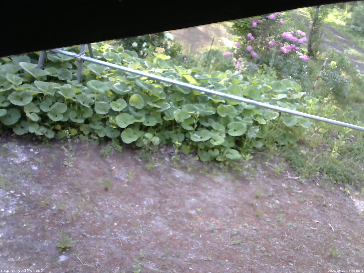 長野県菅平高原 ゆたか山荘 駐車場 2026/05/27 06:15