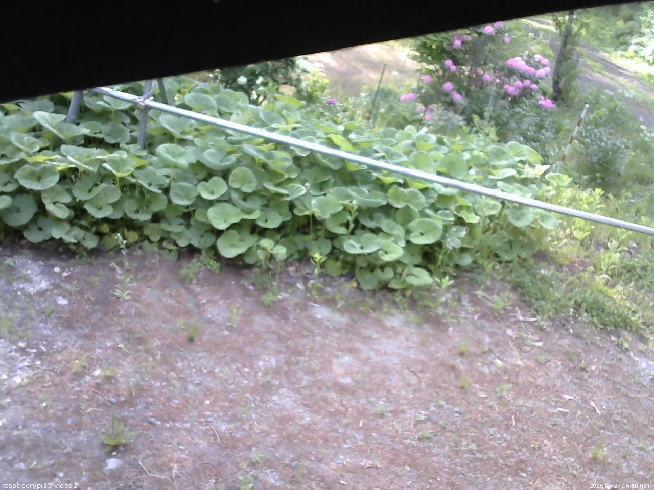 長野県菅平高原 ゆたか山荘 駐車場 2026/05/27 06:30