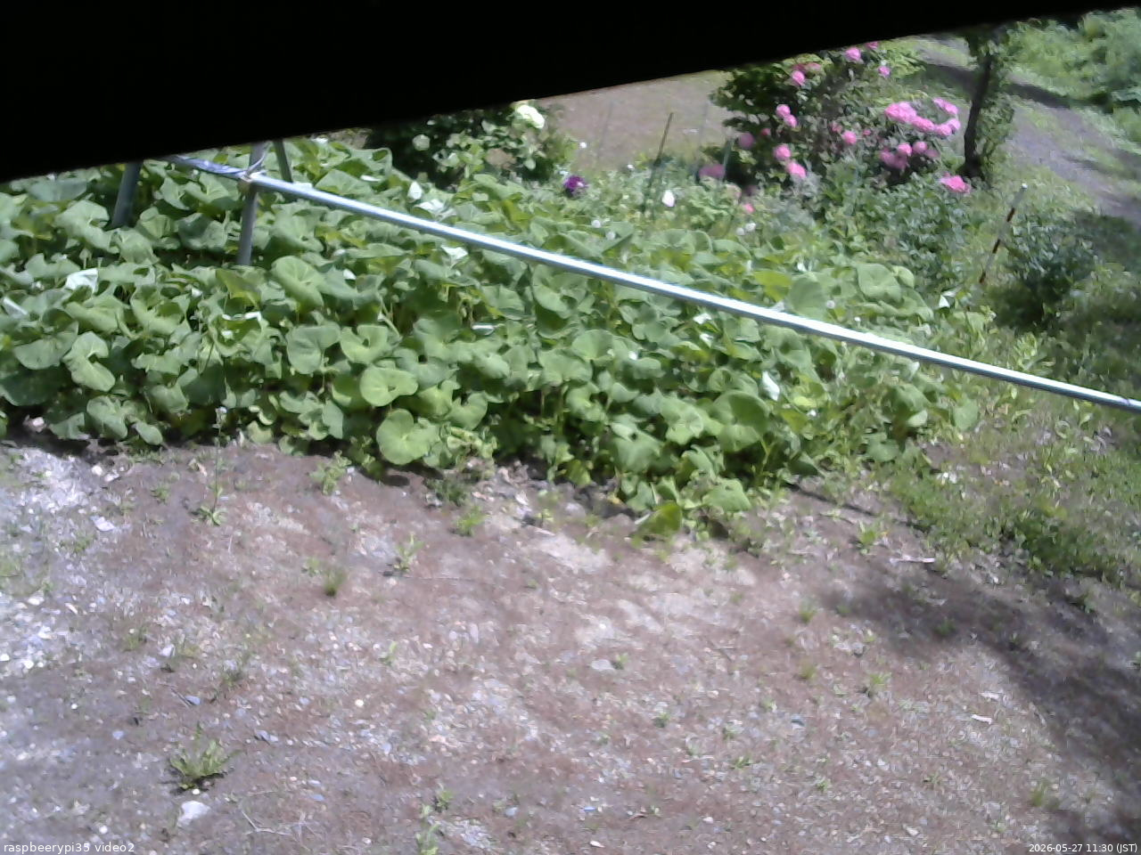 長野県菅平高原 ゆたか山荘 駐車場 2026/05/27 11:30