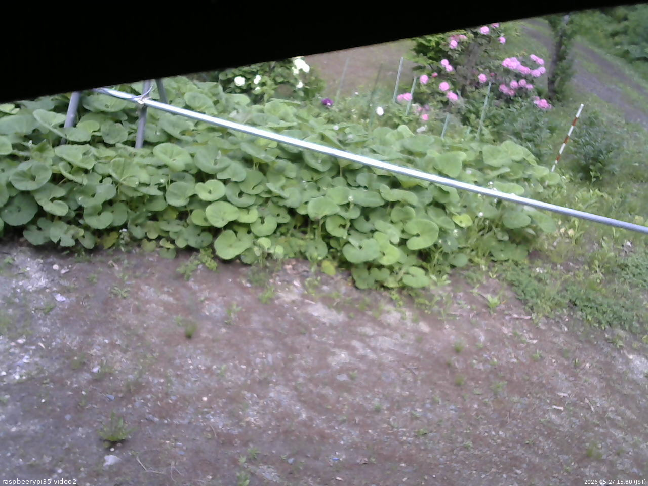 長野県菅平高原 ゆたか山荘 駐車場 2026/05/27 15:30