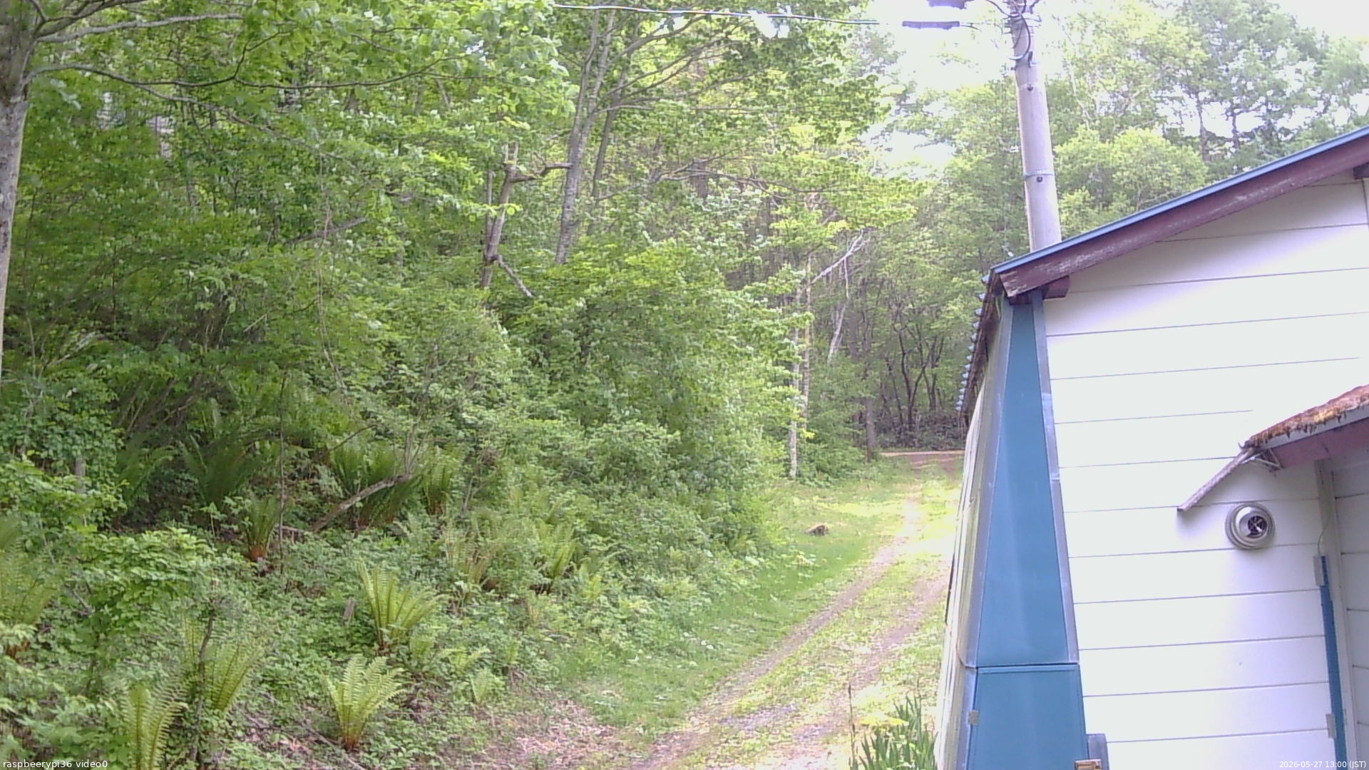 長野県菅平高原 ゆたか山荘 ゆたか山荘 2026/05/27 13:00