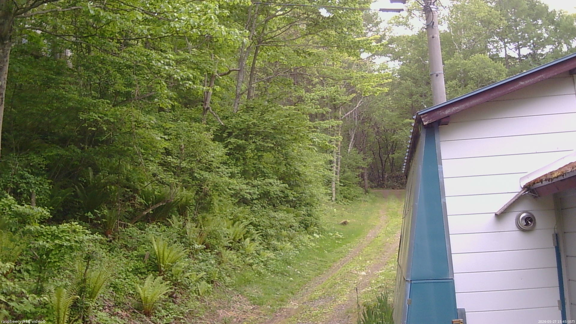 長野県菅平高原 ゆたか山荘 ゆたか山荘 2026/05/27 15:45
