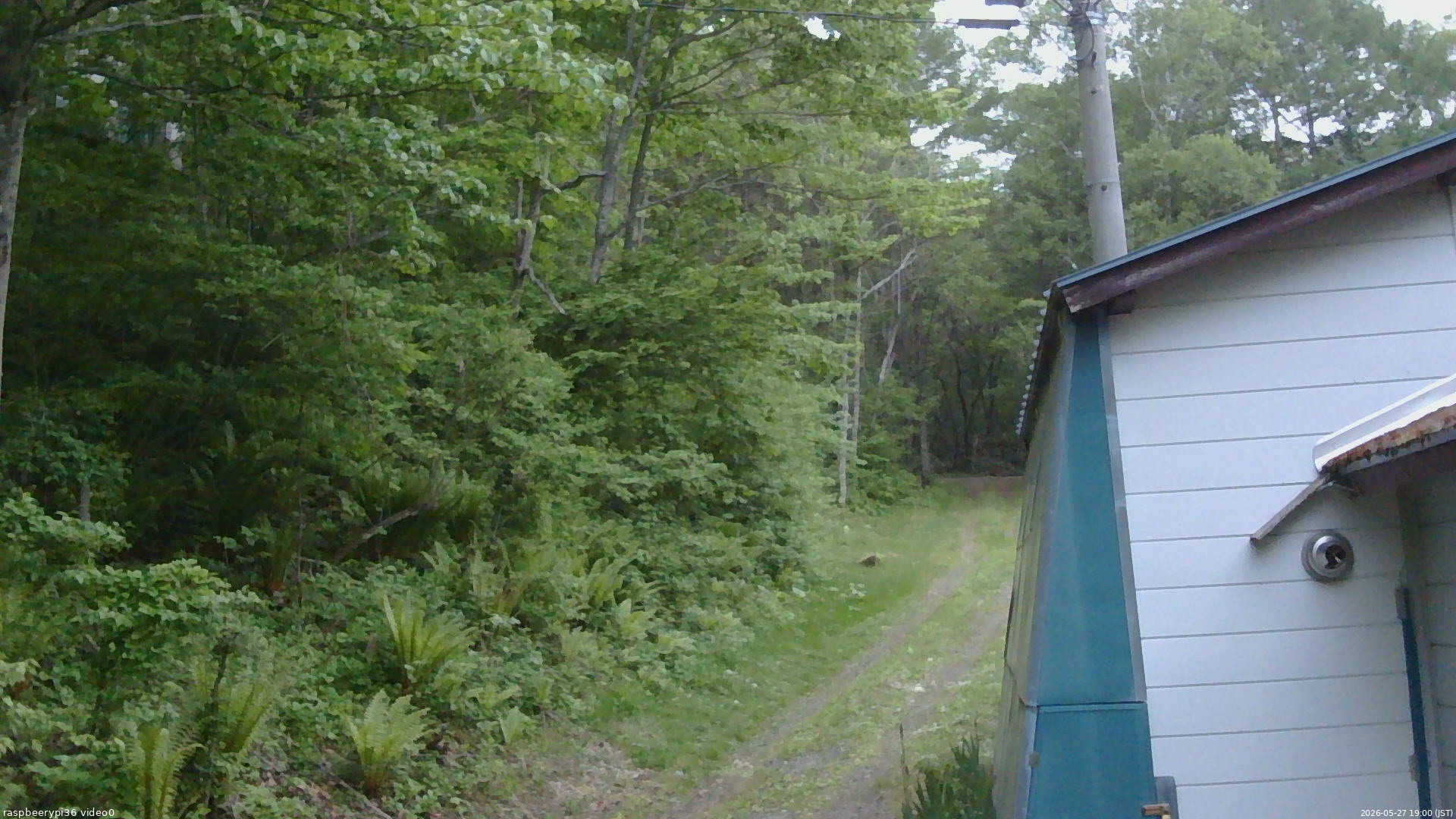 長野県菅平高原 ゆたか山荘 ゆたか山荘 2026/05/27 19:00