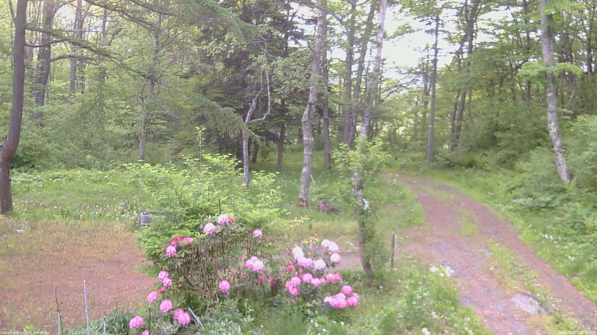 長野県菅平高原 ゆたか山荘 坂上 2026/05/27 05:15