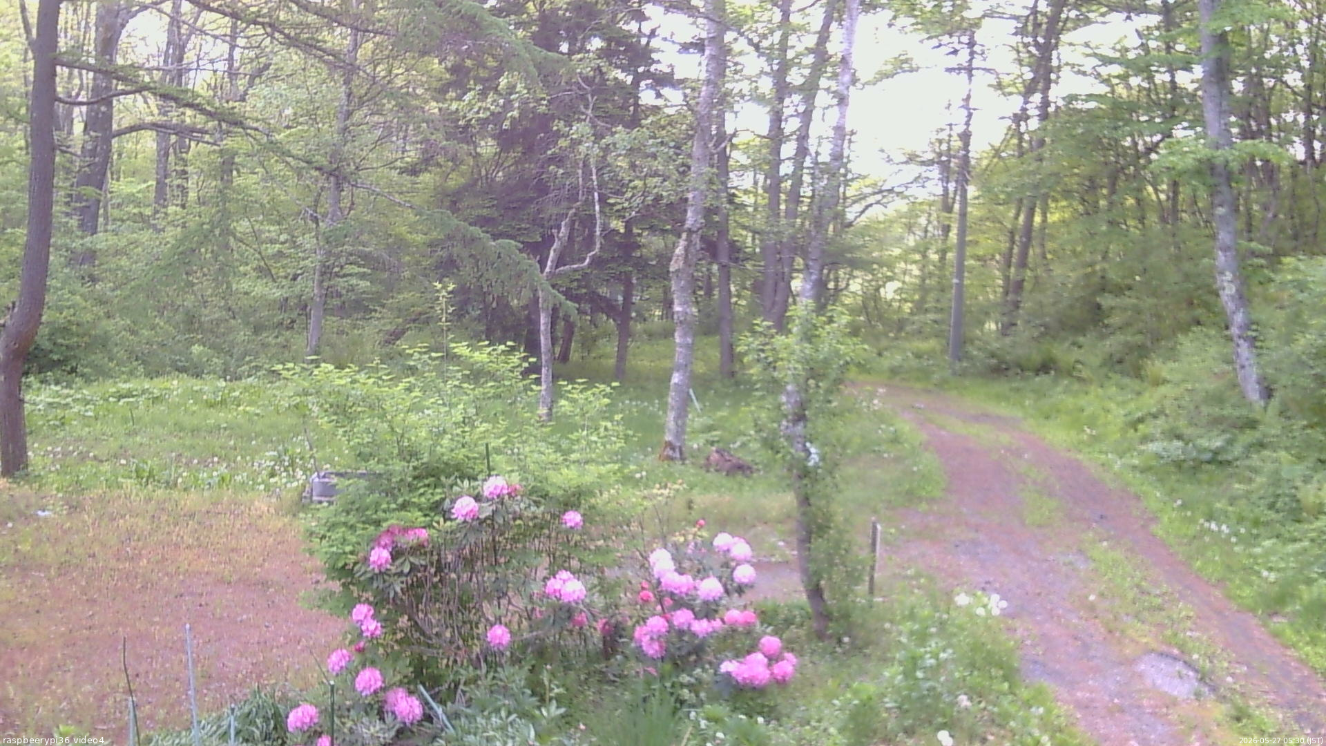 長野県菅平高原 ゆたか山荘 坂上 2026/05/27 05:30