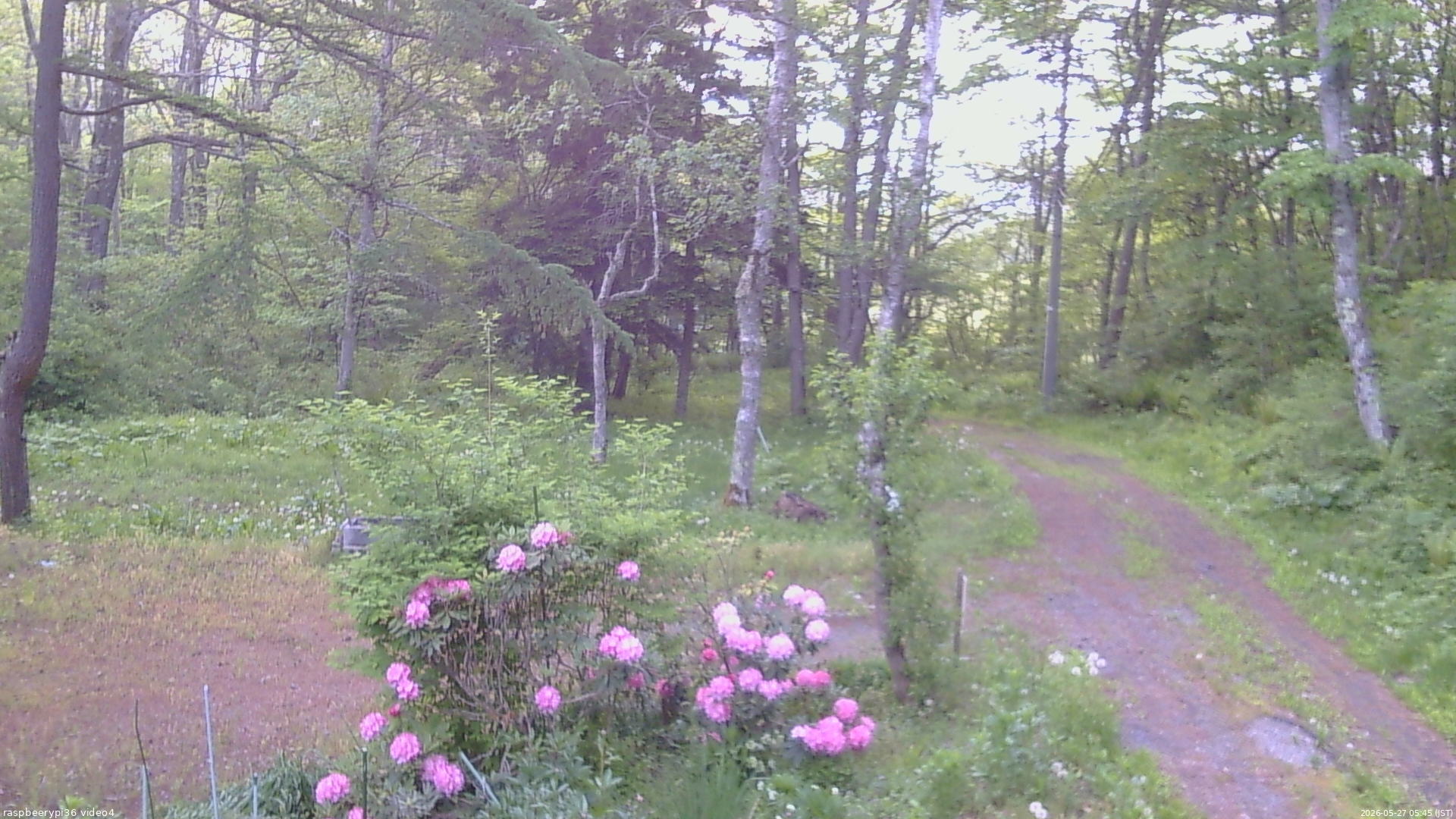 長野県菅平高原 ゆたか山荘 坂上 2026/05/27 05:45