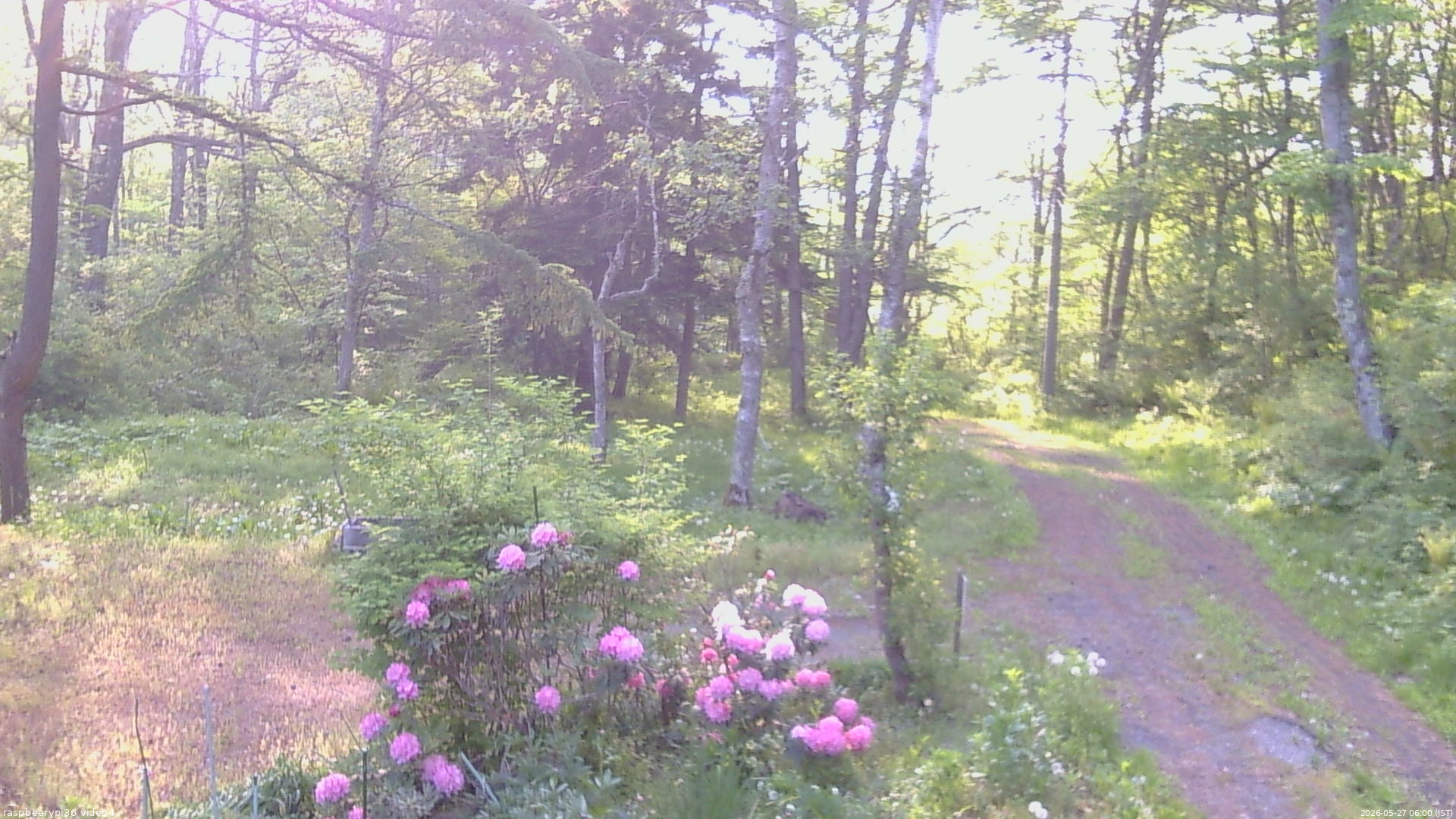 長野県菅平高原 ゆたか山荘 坂上 2026/05/27 06:00