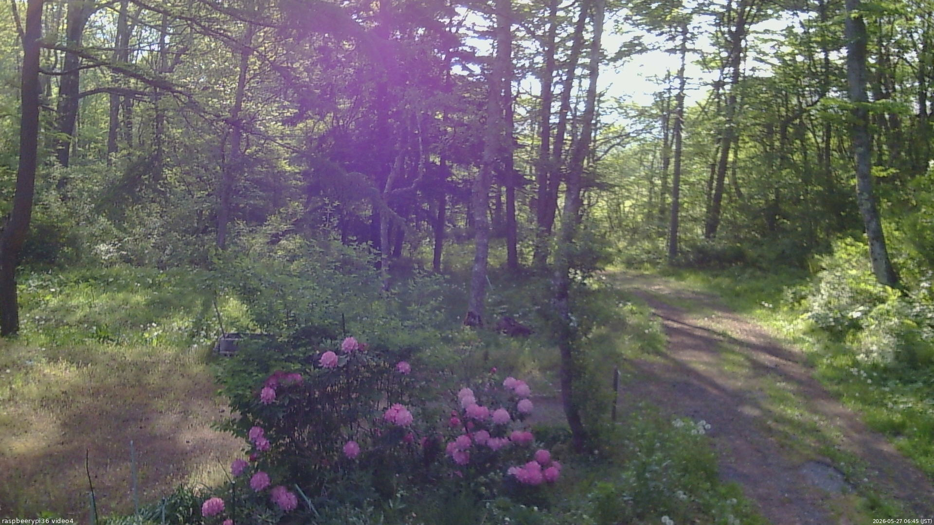 長野県菅平高原 ゆたか山荘 坂上 2026/05/27 06:45