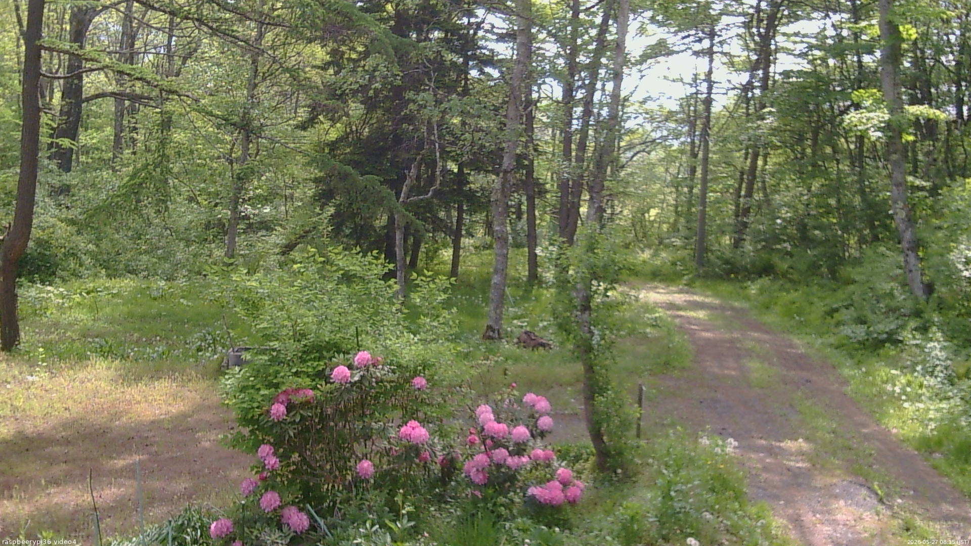 長野県菅平高原 ゆたか山荘 坂上 2026/05/27 08:15