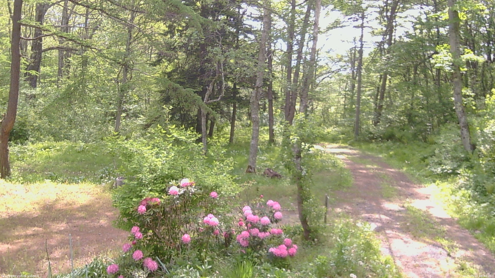 長野県菅平高原 ゆたか山荘 坂上 2026/05/27 08:30