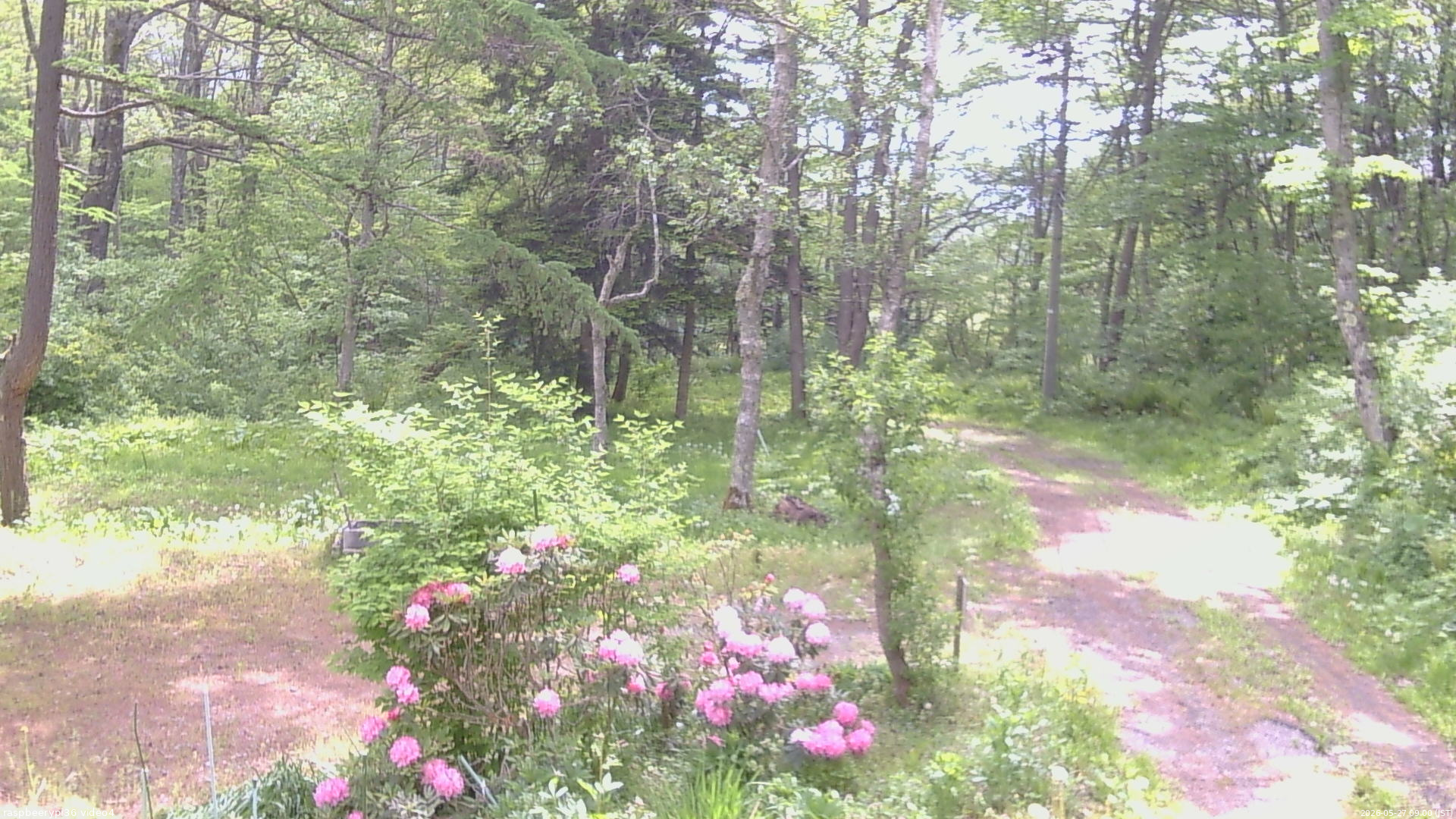 長野県菅平高原 ゆたか山荘 坂上 2026/05/27 09:00