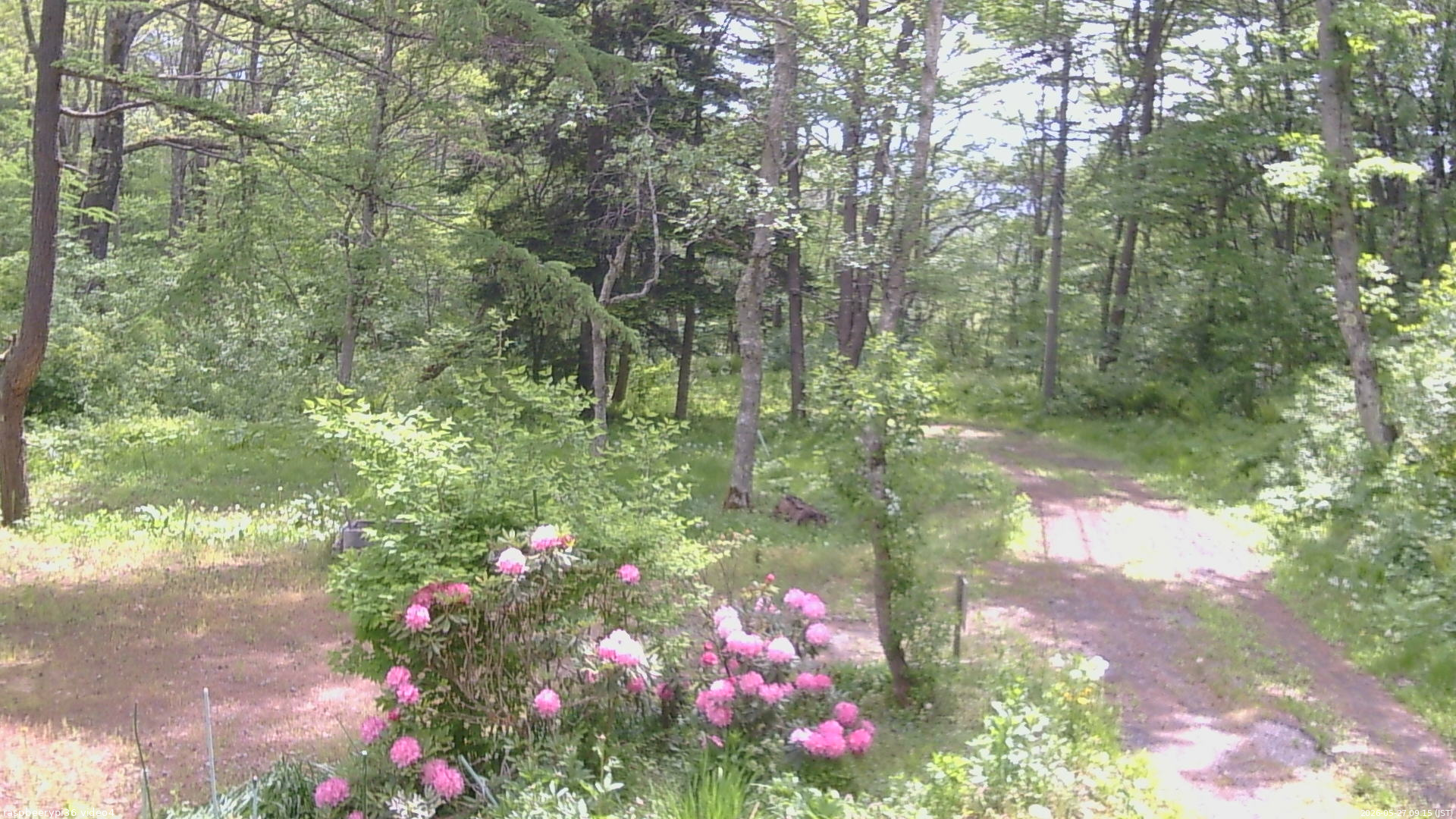 長野県菅平高原 ゆたか山荘 坂上 2026/05/27 09:15