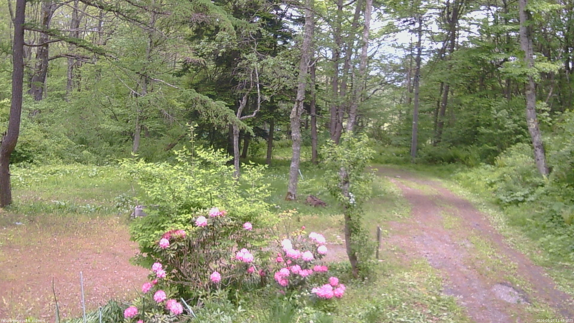 長野県菅平高原 ゆたか山荘 坂上 2026/05/27 11:45