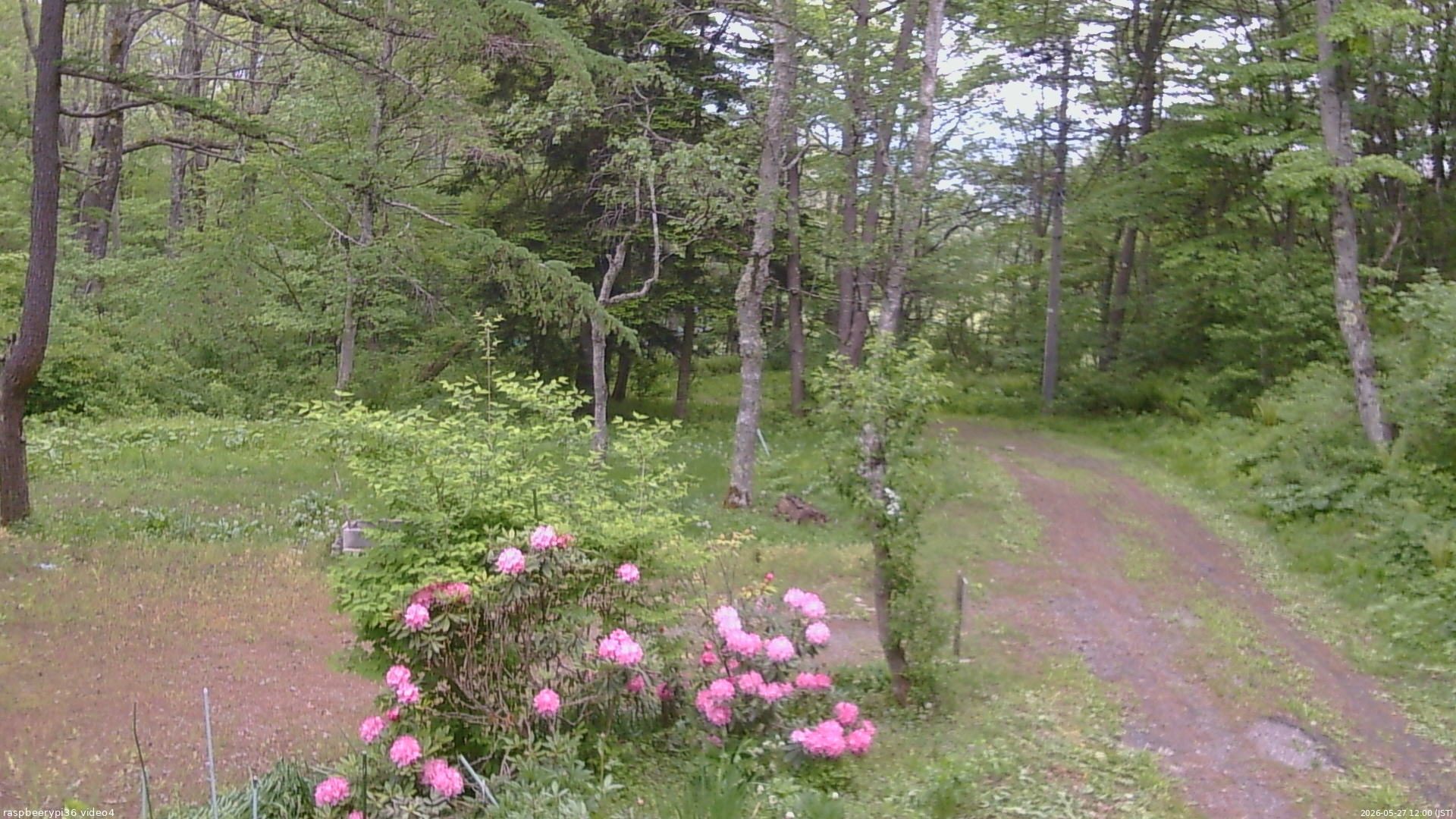 長野県菅平高原 ゆたか山荘 坂上 2026/05/27 12:00