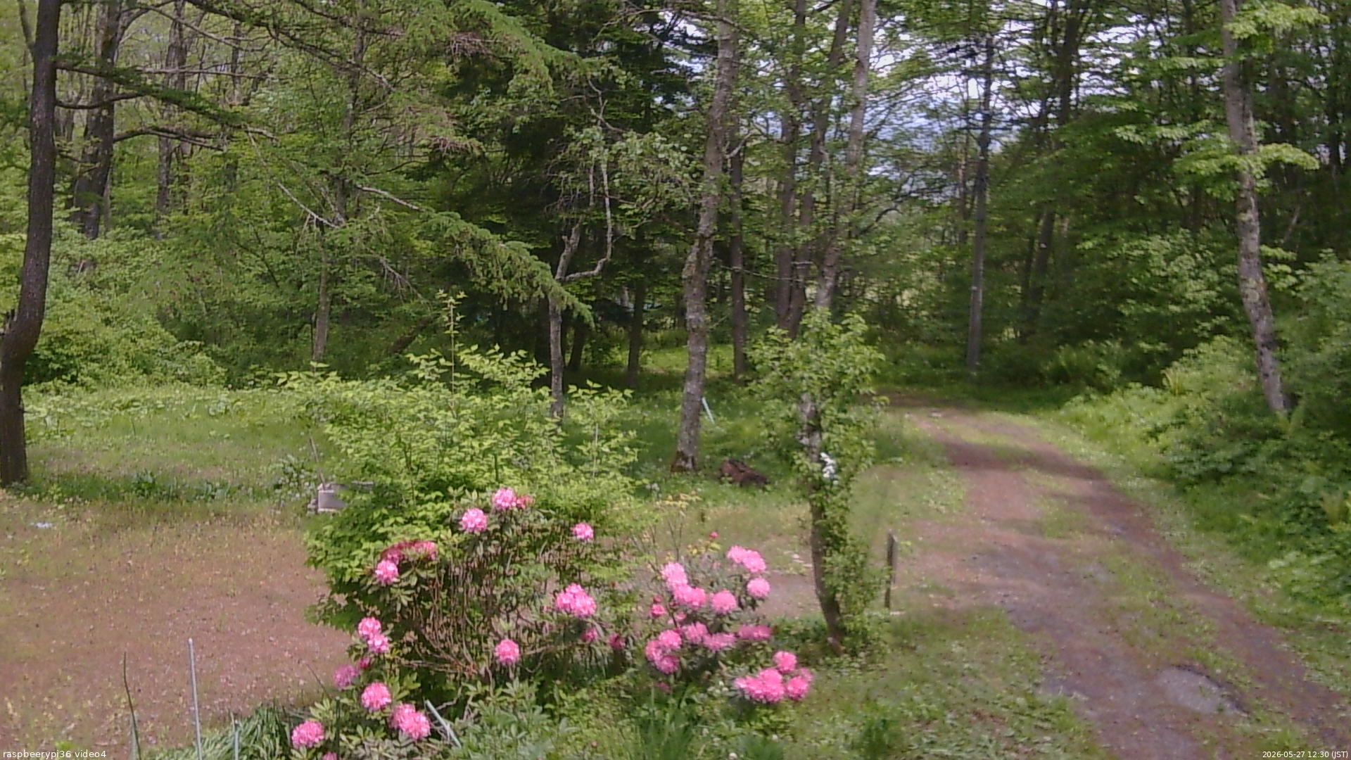 長野県菅平高原 ゆたか山荘 坂上 2026/05/27 12:30