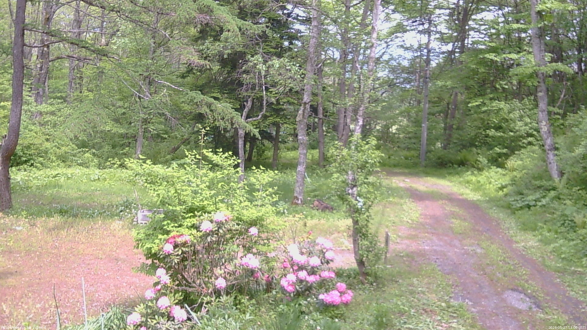 長野県菅平高原 ゆたか山荘 坂上 2026/05/27 13:00