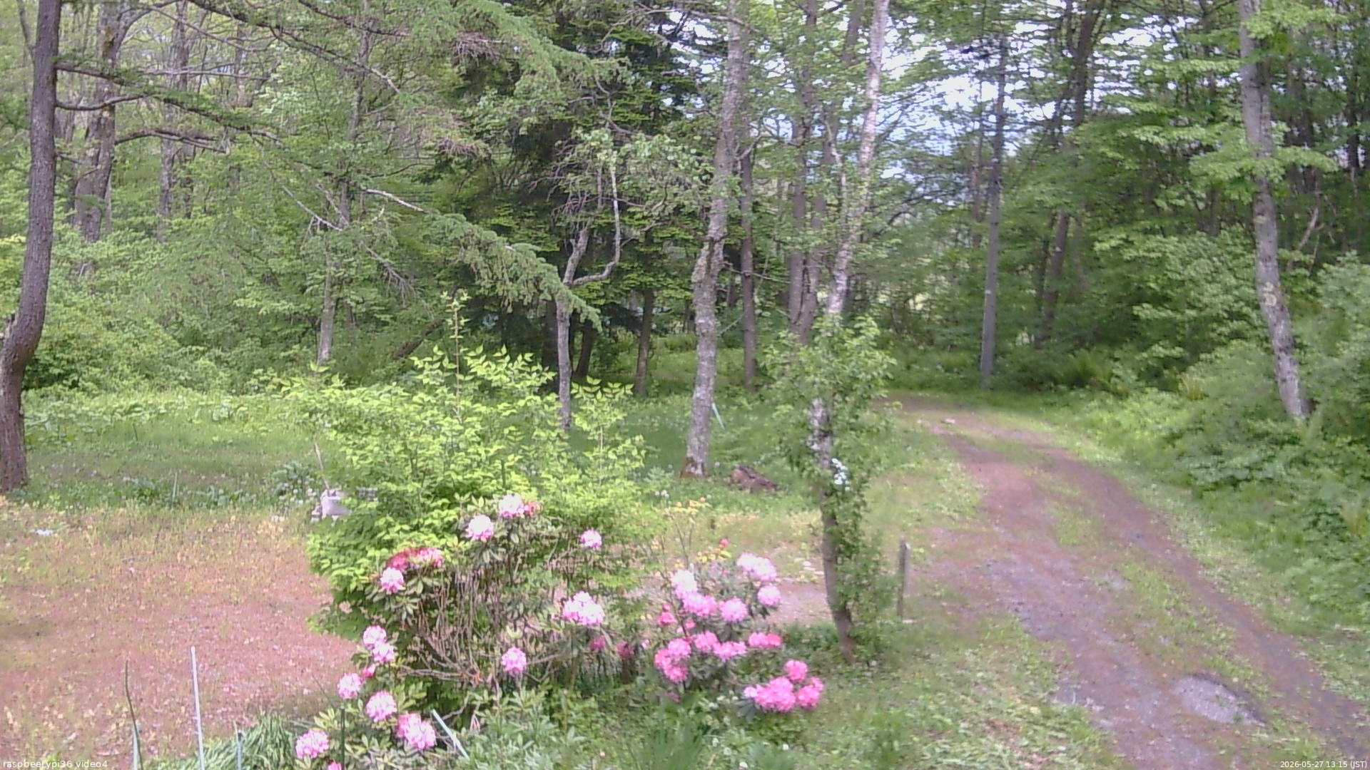 長野県菅平高原 ゆたか山荘 坂上 2026/05/27 13:15