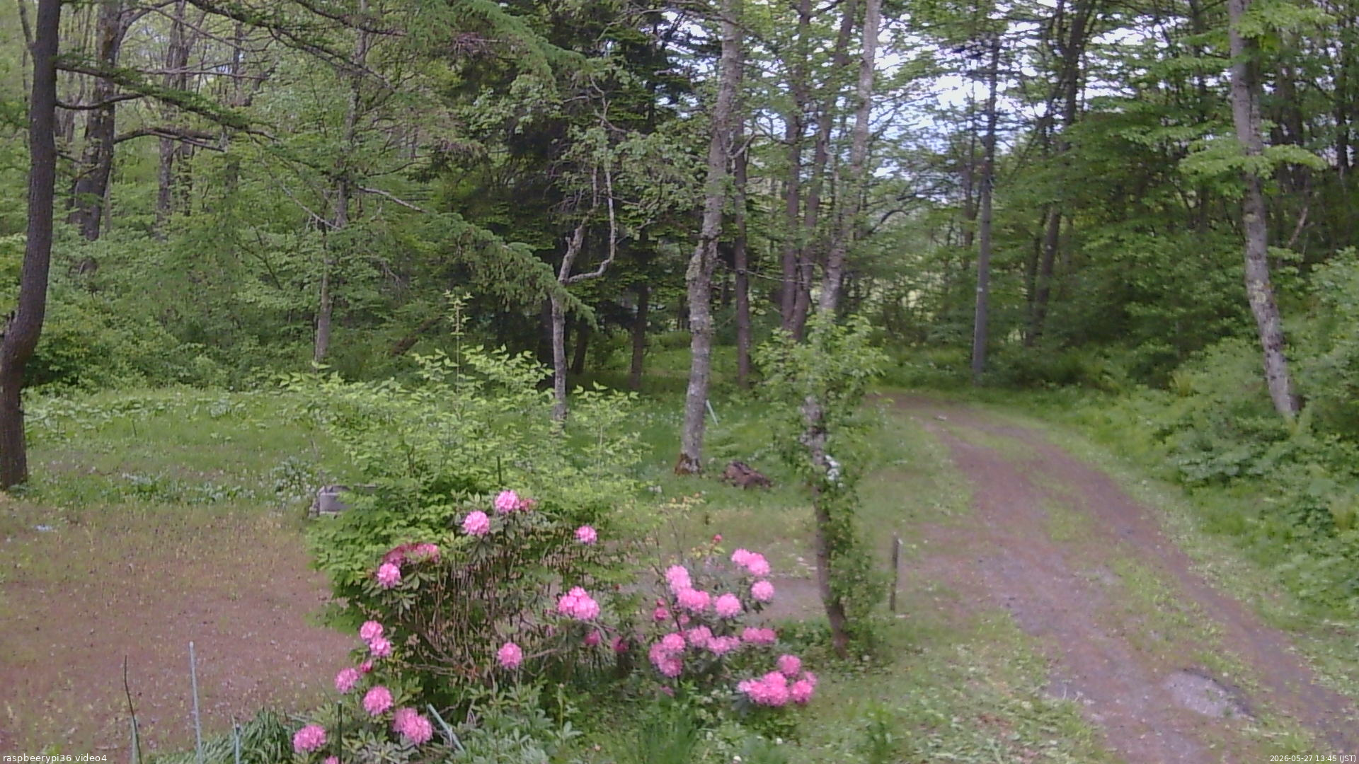 長野県菅平高原 ゆたか山荘 坂上 2026/05/27 13:45