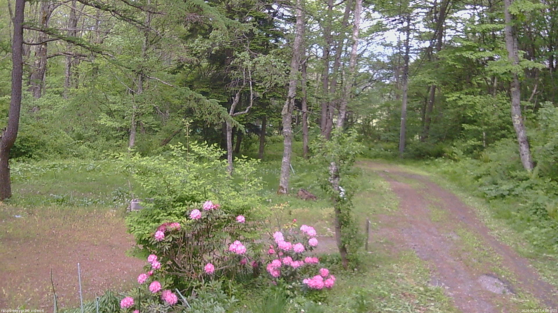 長野県菅平高原 ゆたか山荘 坂上 2026/05/27 14:00