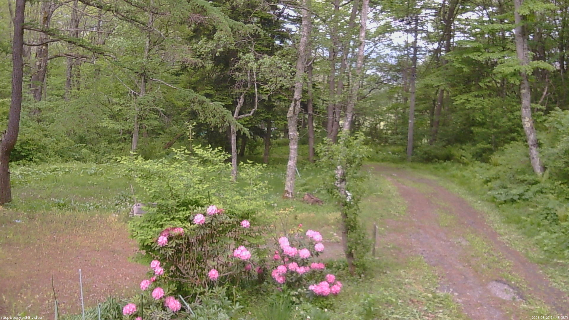 長野県菅平高原 ゆたか山荘 坂上 2026/05/27 14:45