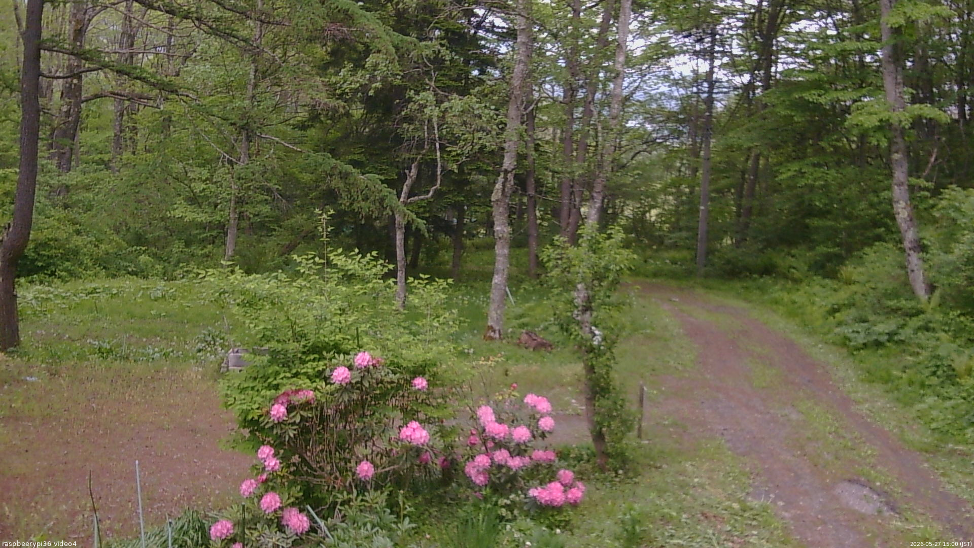 長野県菅平高原 ゆたか山荘 坂上 2026/05/27 15:00
