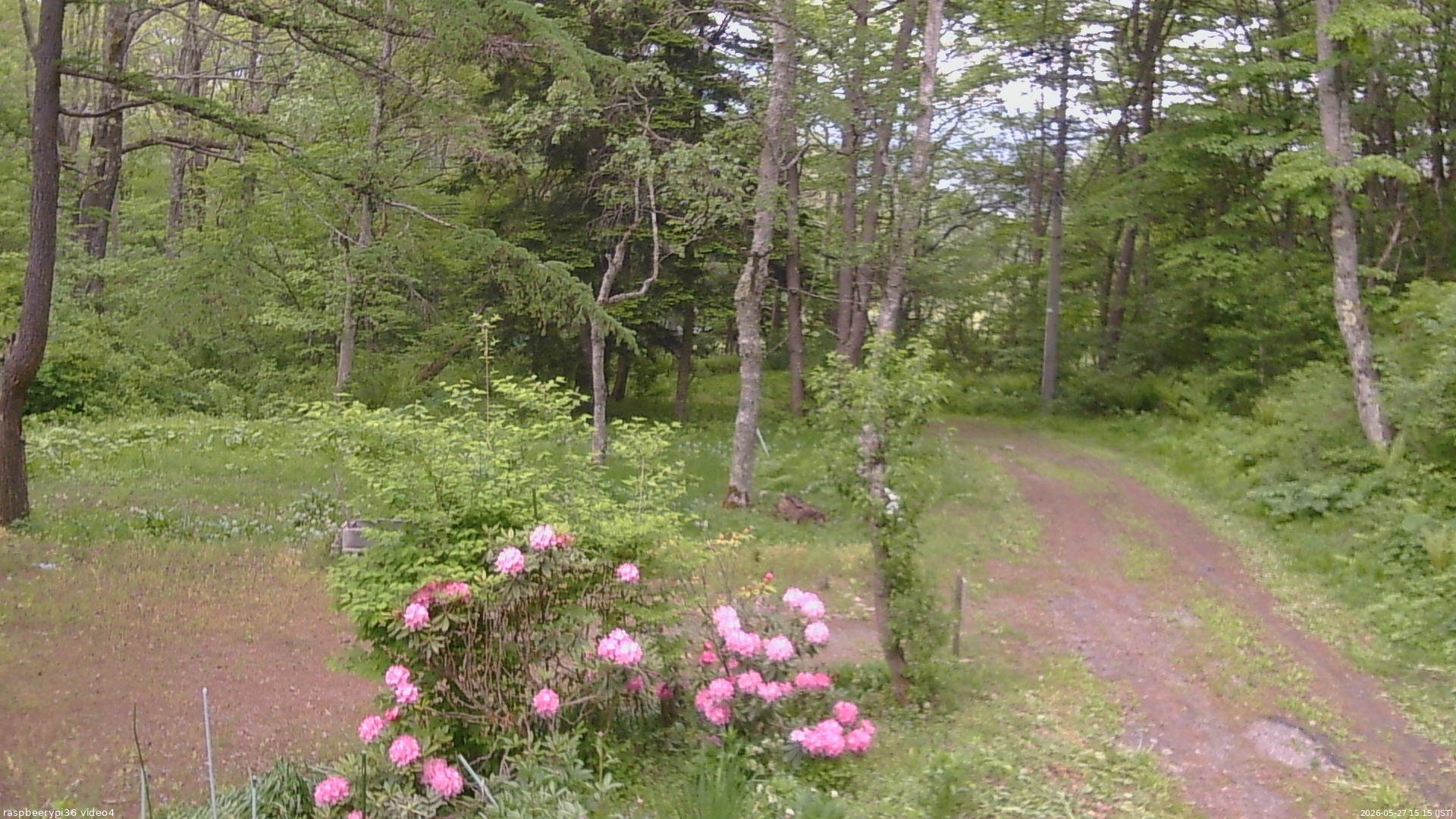 長野県菅平高原 ゆたか山荘 坂上 2026/05/27 15:15