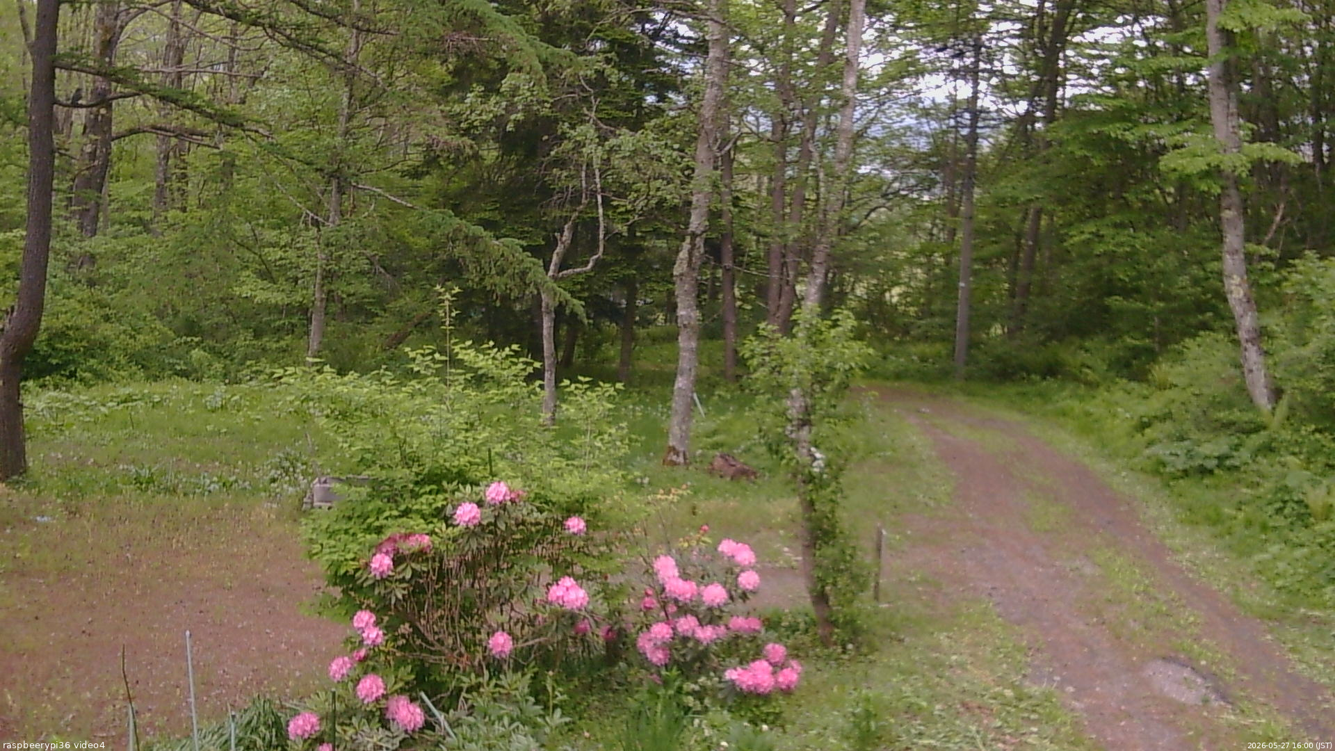 長野県菅平高原 ゆたか山荘 坂上 2026/05/27 16:00