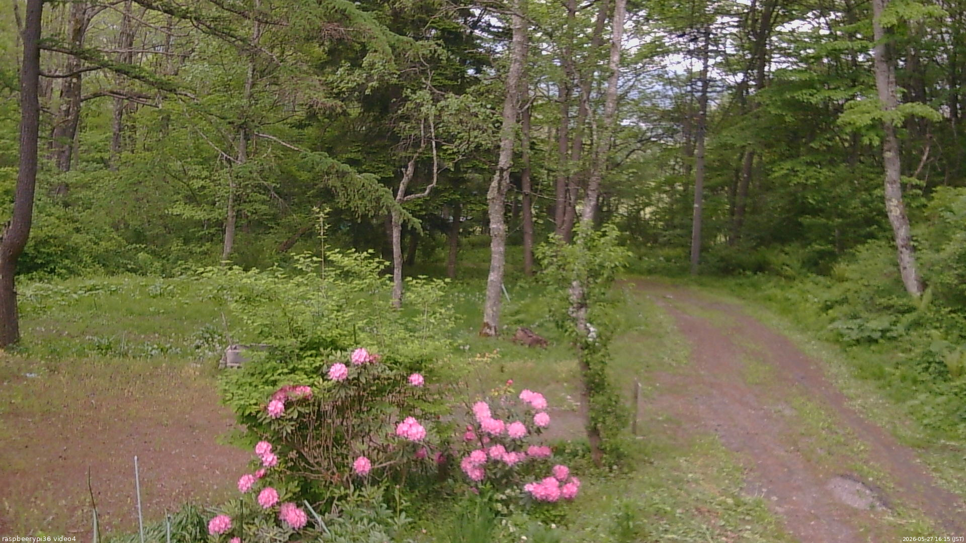 長野県菅平高原 ゆたか山荘 坂上 2026/05/27 16:15