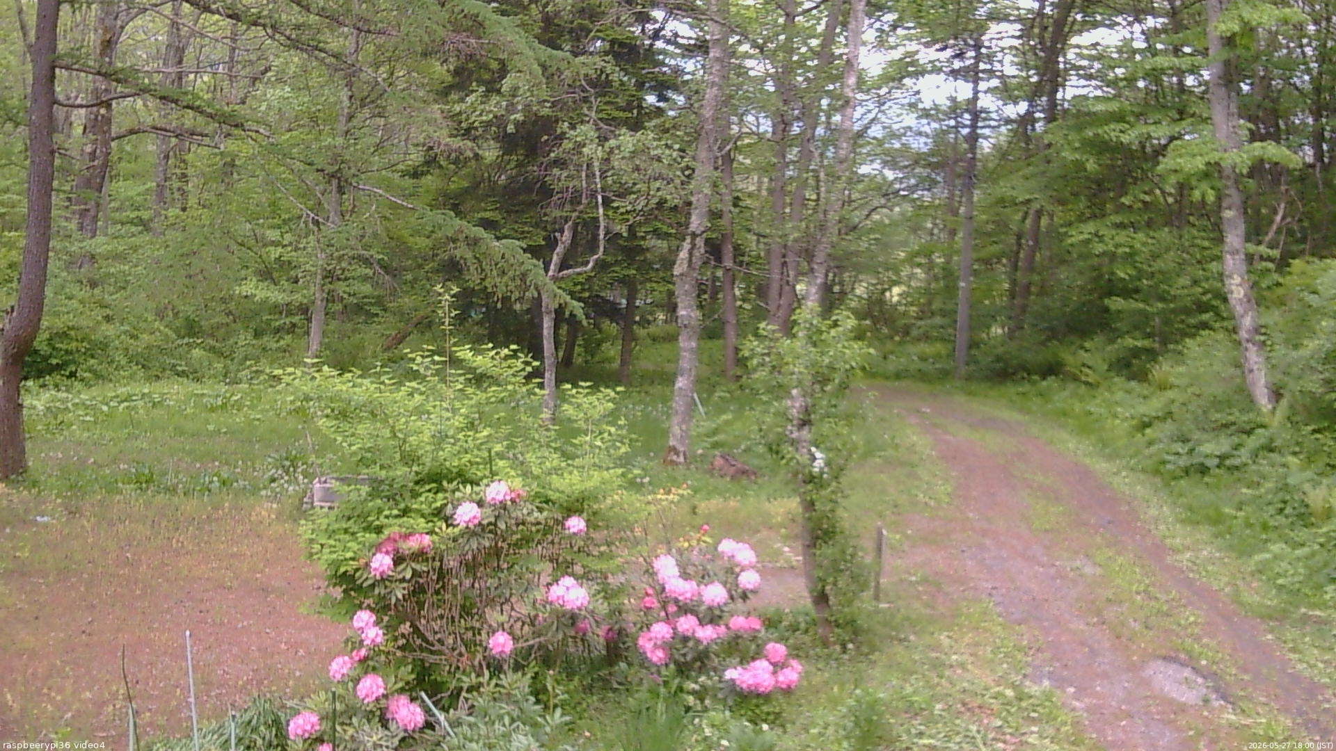 長野県菅平高原 ゆたか山荘 坂上 2026/05/27 18:00