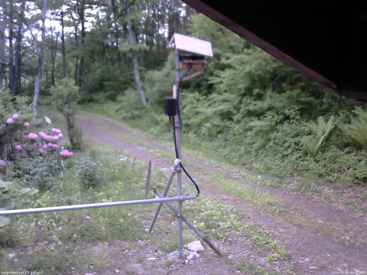 長野県菅平高原 ゆたか山荘 南側 2026/05/28 05:00