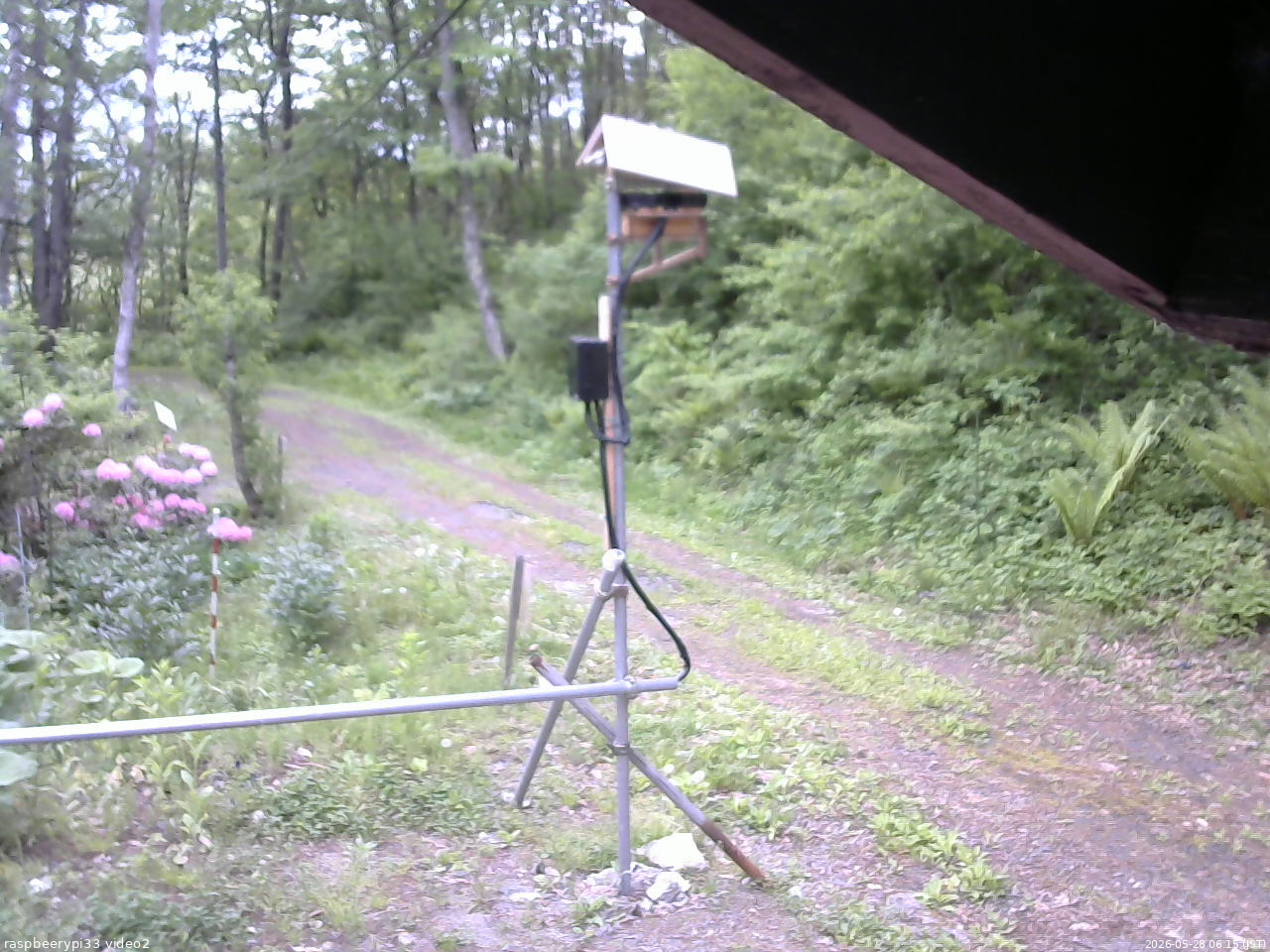 長野県菅平高原 ゆたか山荘 南側 2026/05/28 06:15