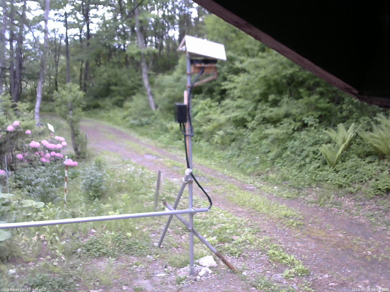 長野県菅平高原 ゆたか山荘 南側 2026/05/28 06:30