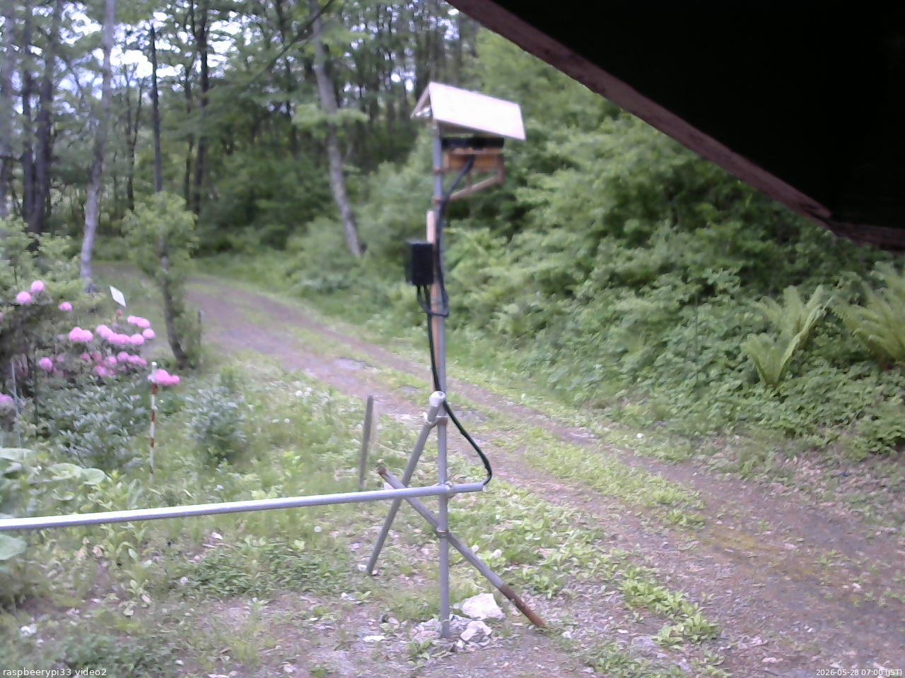 長野県菅平高原 ゆたか山荘 南側 2026/05/28 07:00
