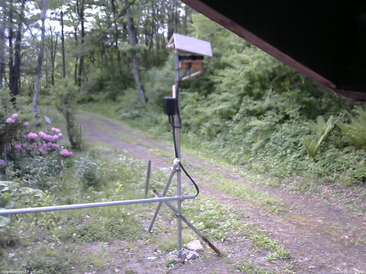 長野県菅平高原 ゆたか山荘 南側 2026/05/28 07:30
