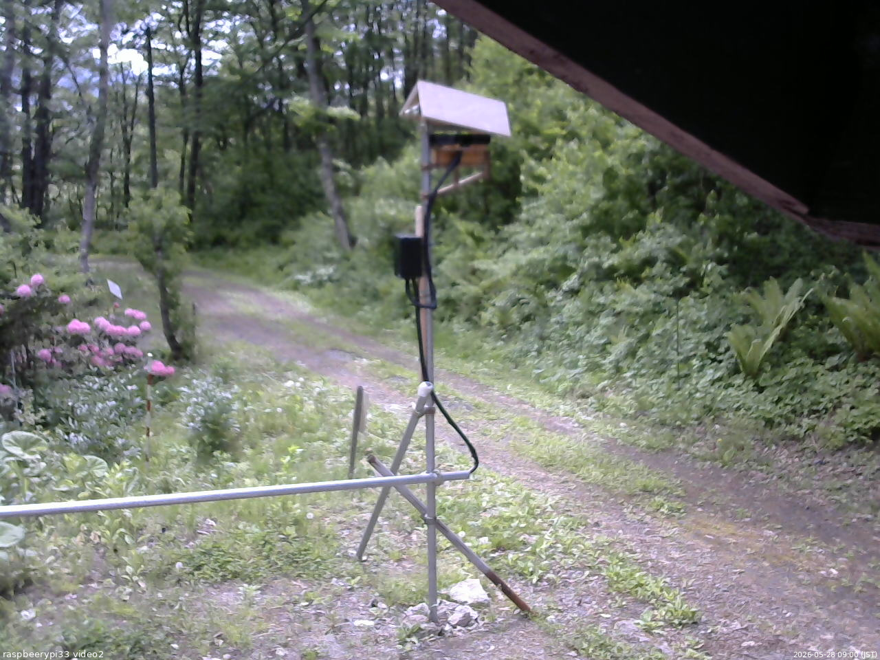 長野県菅平高原 ゆたか山荘 南側 2026/05/28 09:00