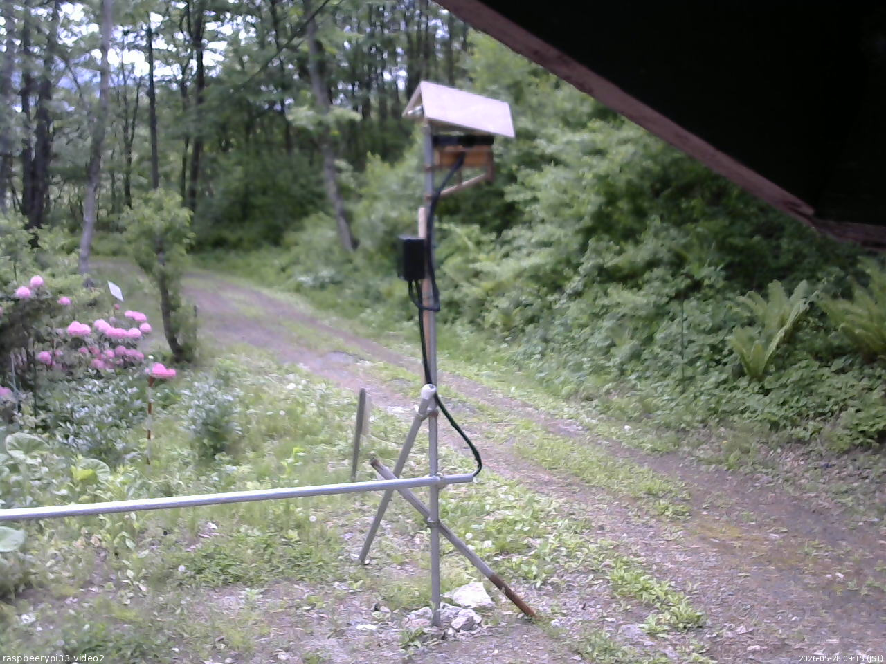 長野県菅平高原 ゆたか山荘 南側 2026/05/28 09:15