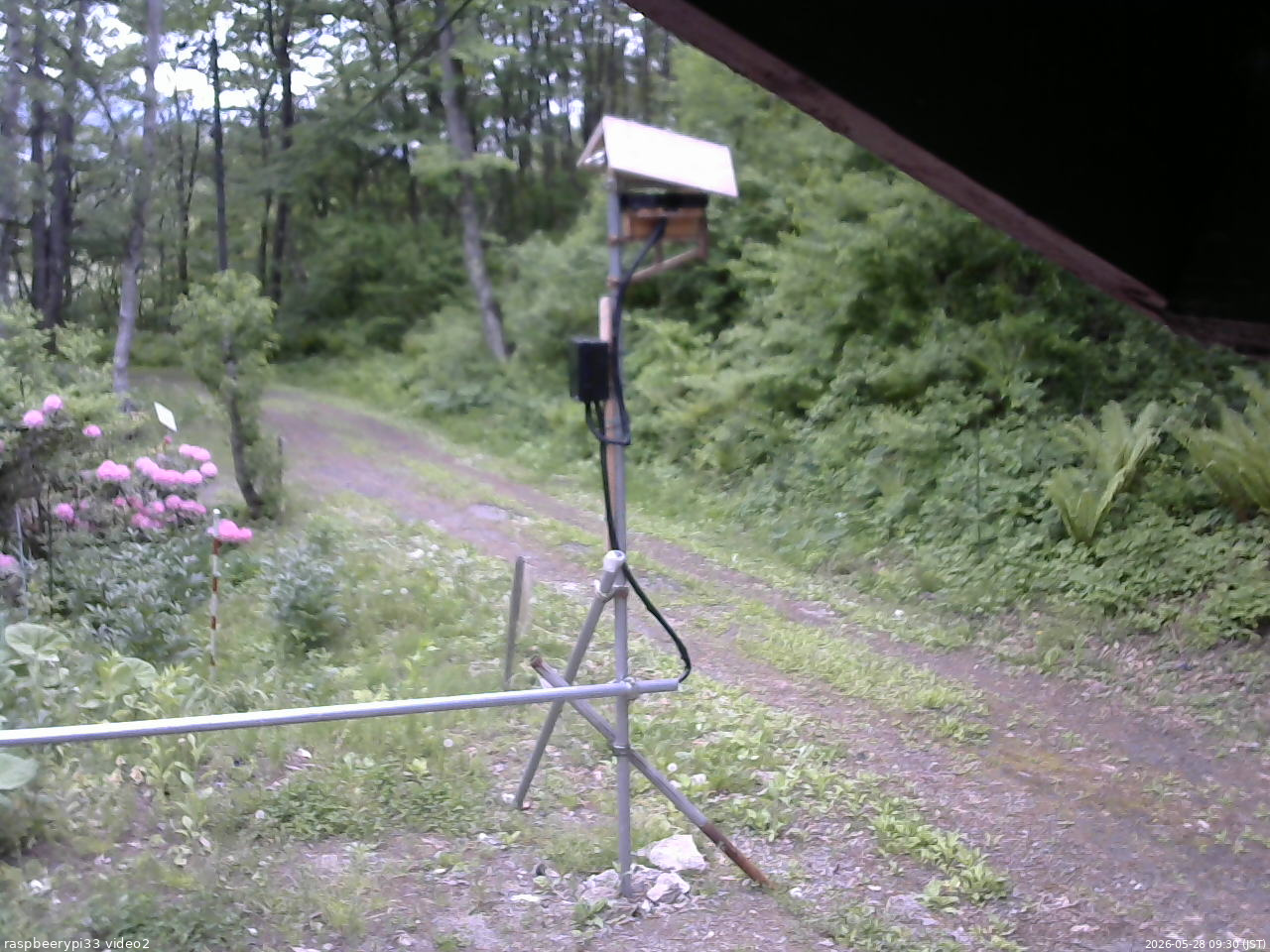長野県菅平高原 ゆたか山荘 南側 2026/05/28 09:30