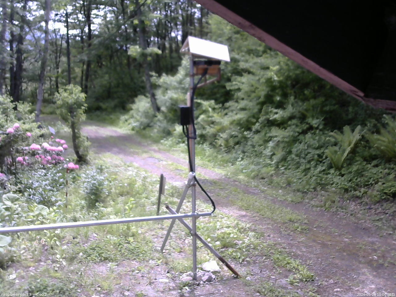 長野県菅平高原 ゆたか山荘 南側 2026/05/28 10:00
