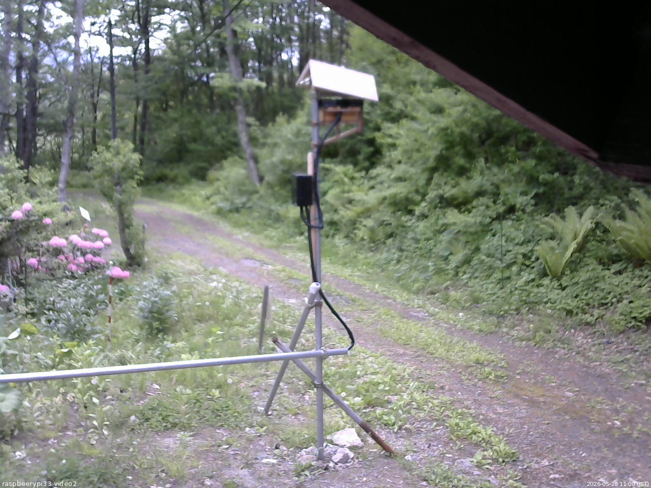 長野県菅平高原 ゆたか山荘 南側 2026/05/28 11:00