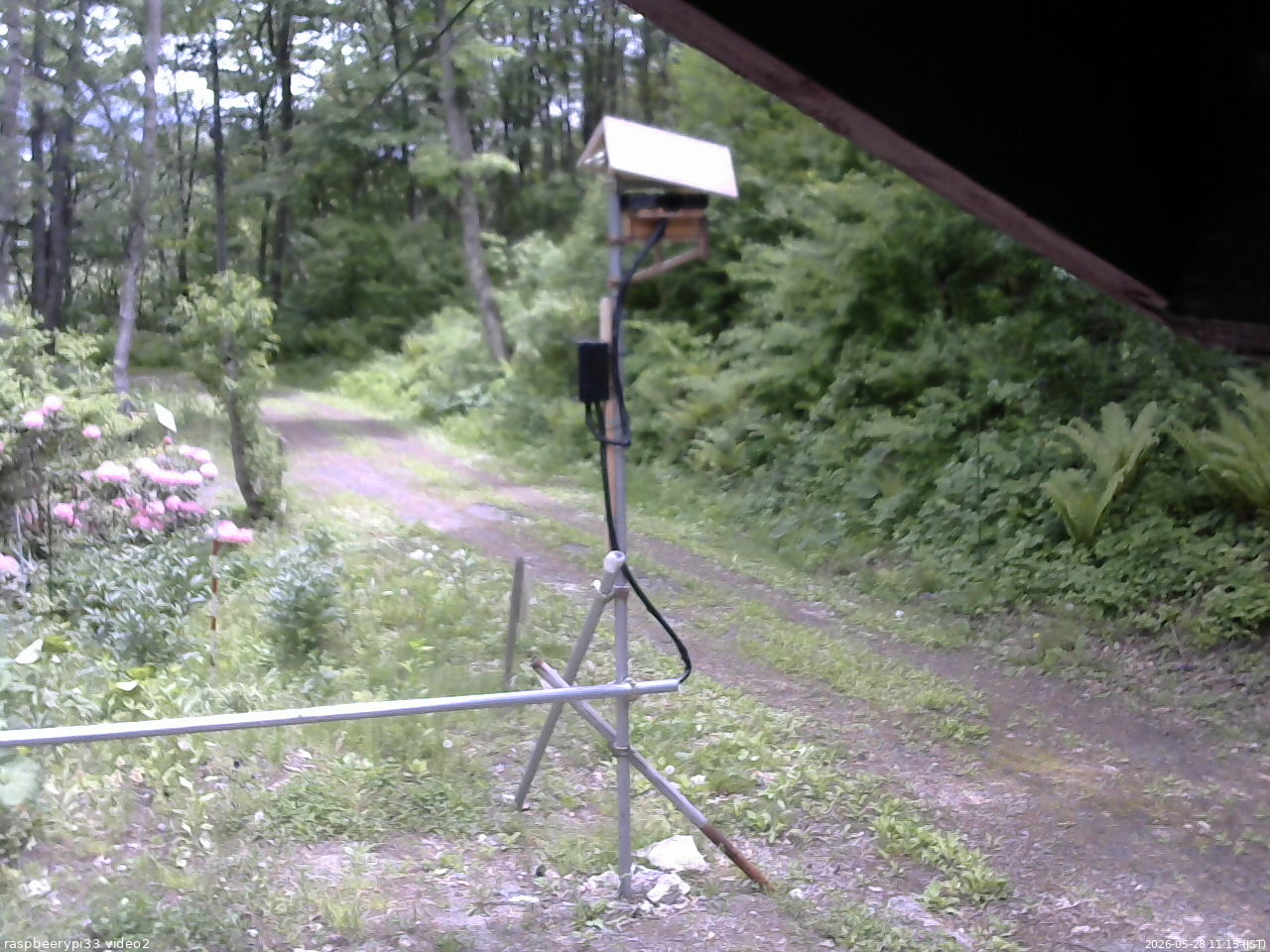 長野県菅平高原 ゆたか山荘 南側 2026/05/28 11:15