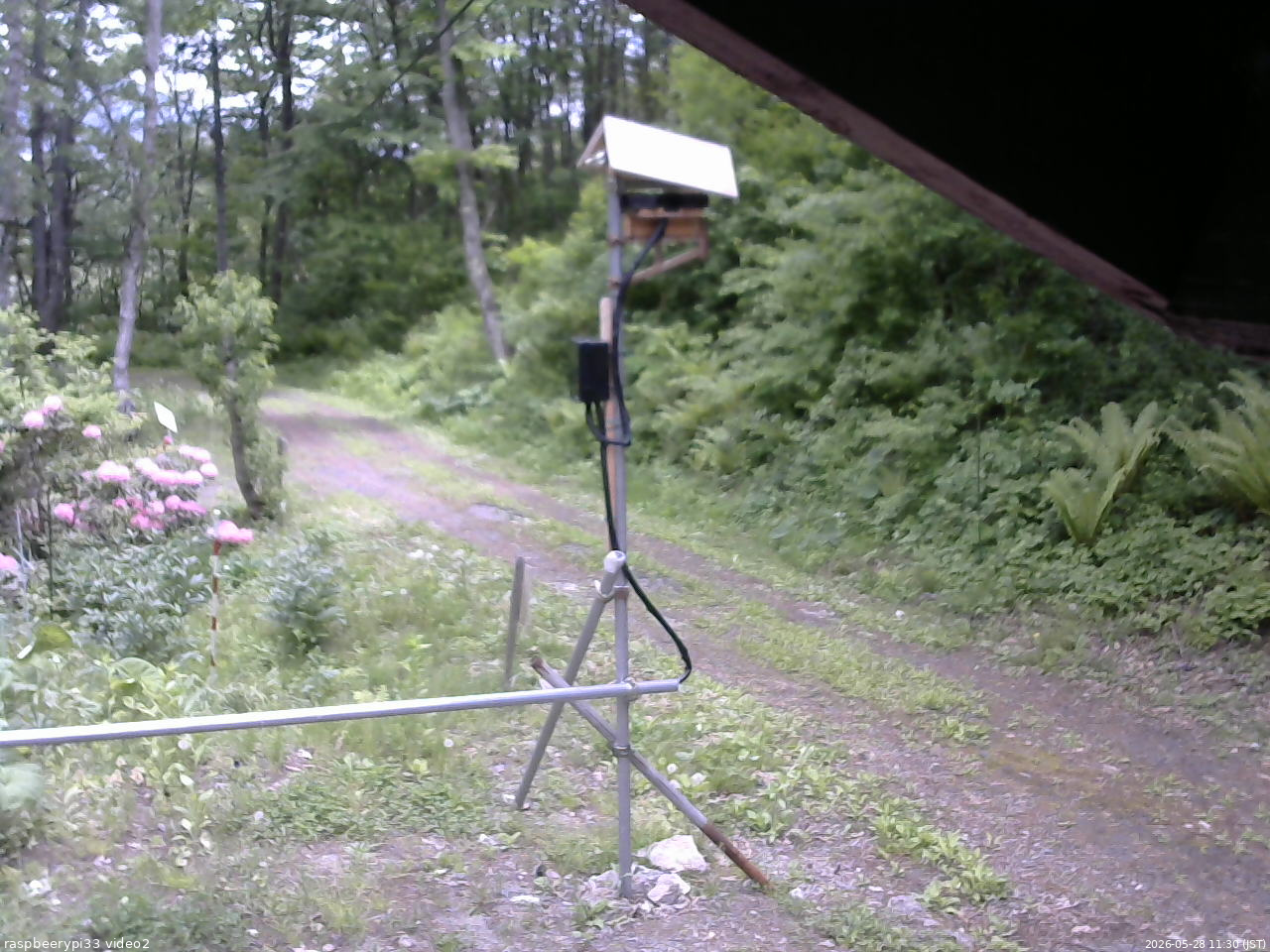 長野県菅平高原 ゆたか山荘 南側 2026/05/28 11:30