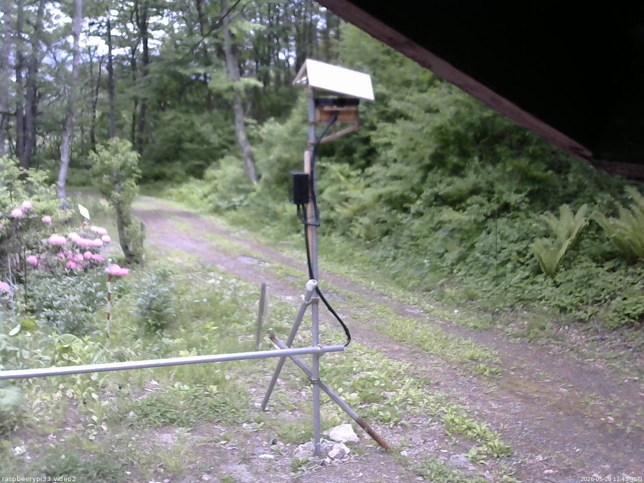 長野県菅平高原 ゆたか山荘 南側 2026/05/28 11:45